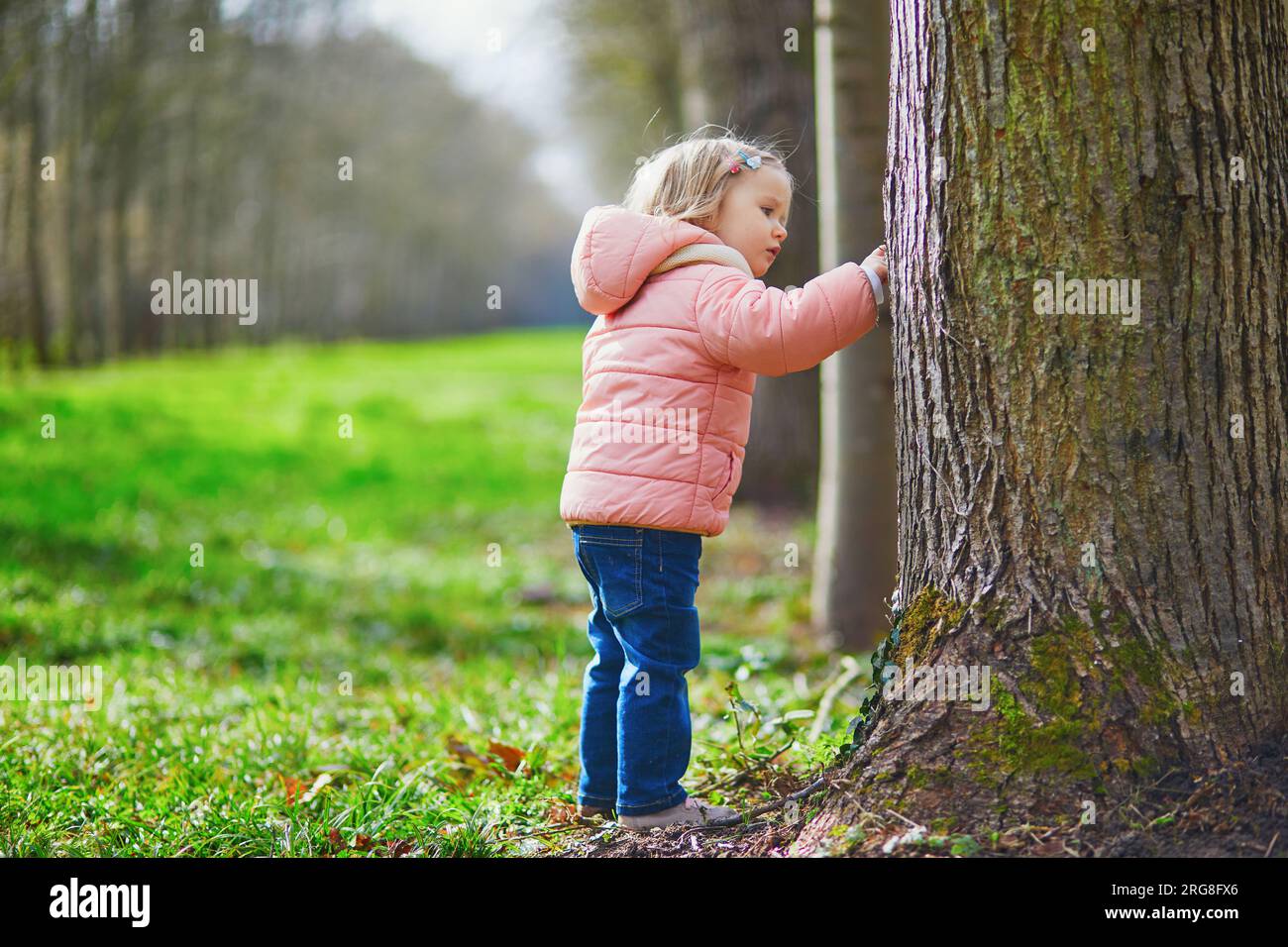 Adorabile bambina nella foresta in un giorno primaverile, toccando il tronco degli alberi e guardando la corteccia. Attività all'aperto per bambini. Bambini che esplorano la natura Foto Stock