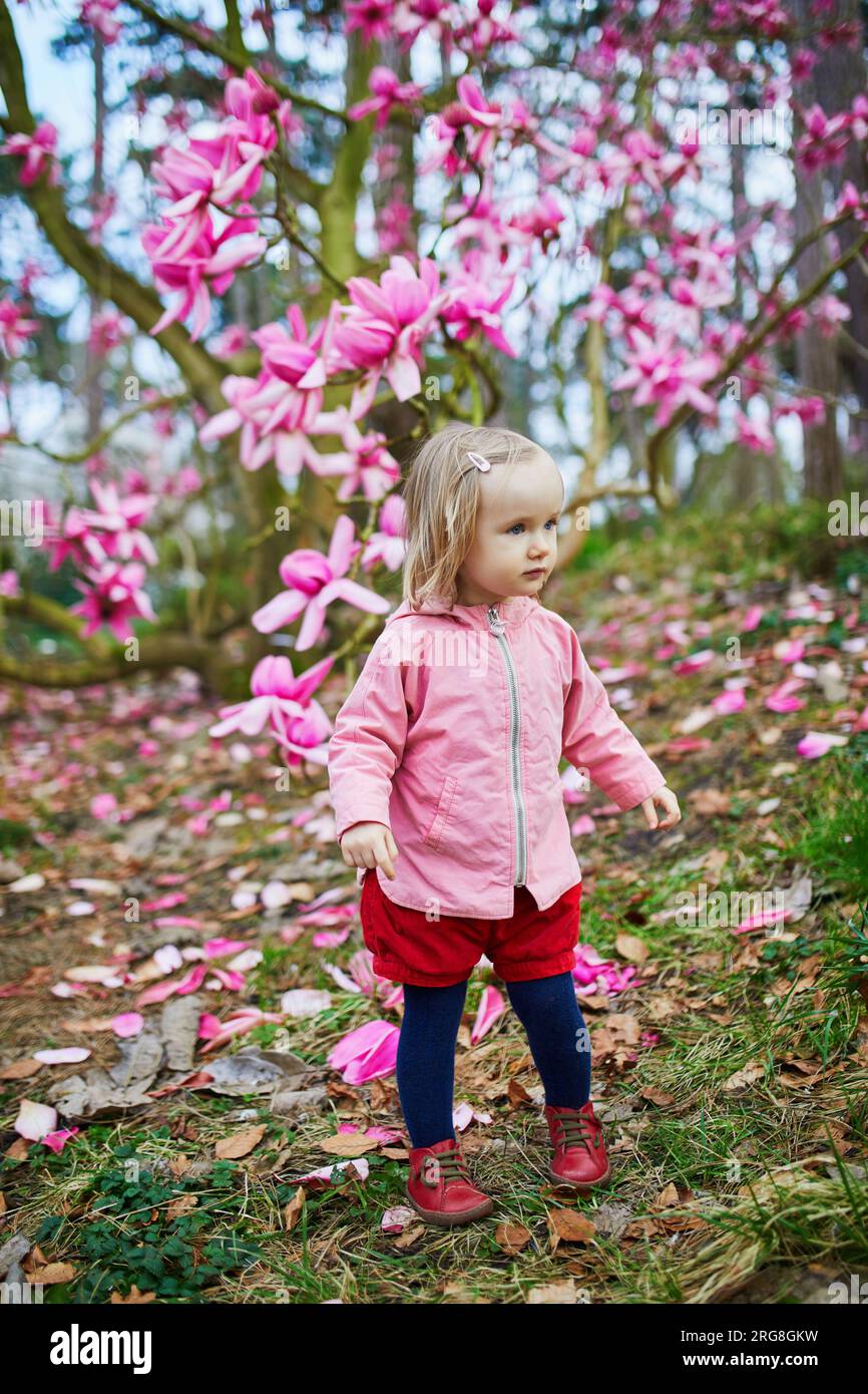 Adorabile bambina vicino alla gigantesca magnolia in piena fioritura. Bambini che esplorano la natura Foto Stock