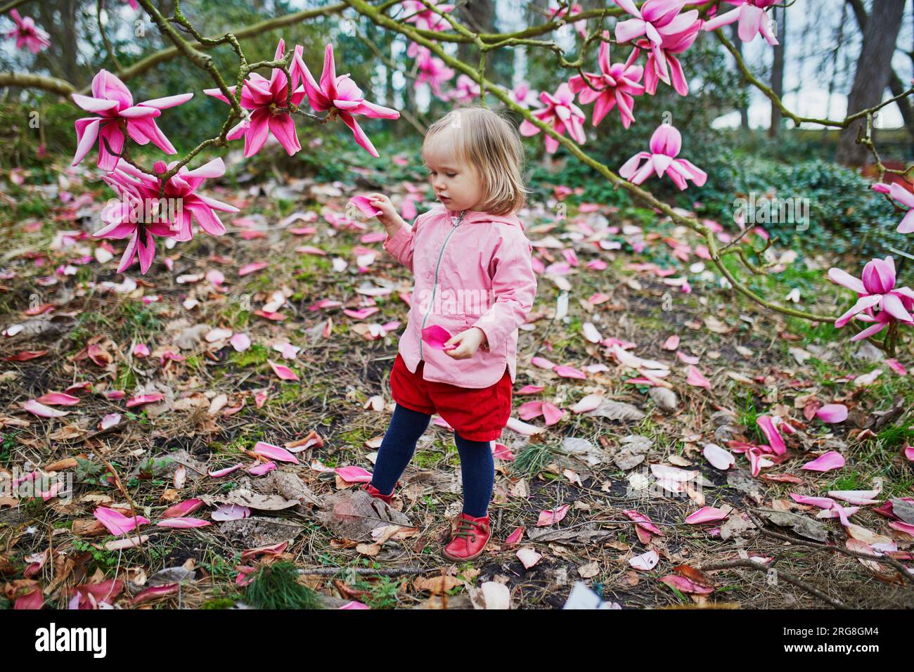 Adorabile bambina vicino alla gigantesca magnolia in piena fioritura. Bambini che esplorano la natura al Park Floral di Parigi, Francia Foto Stock