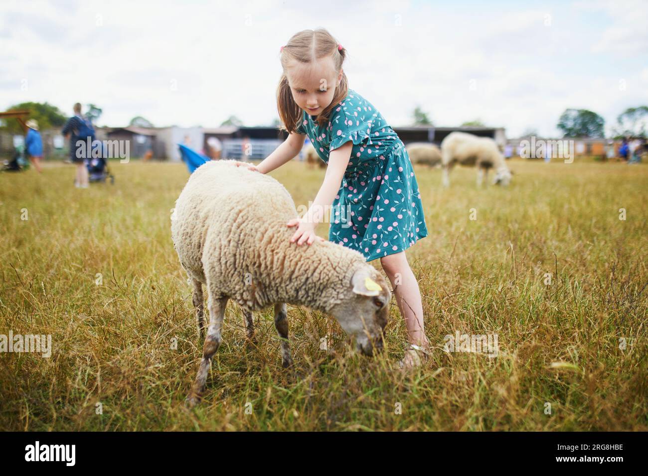 Adorabile bambina in età prescolare che gioca con le pecore alla fattoria. Bambino che si familiarizza con gli animali. Agricoltura e giardinaggio per bambini piccoli. Esterno summ Foto Stock