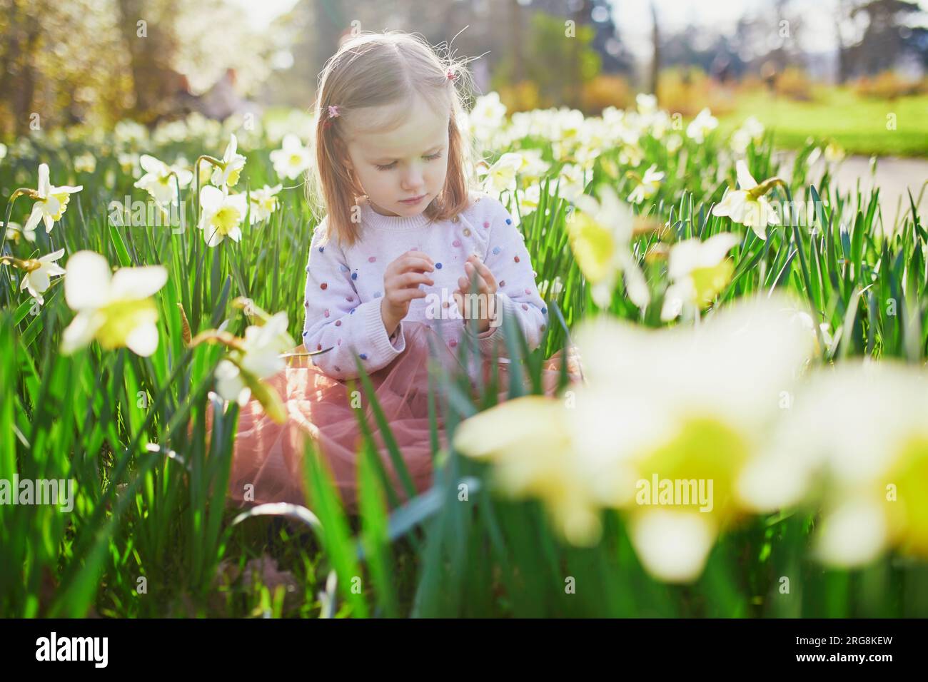 Bambina prescolare seduta sull'erba con narcissi gialli. Bambino che guarda i fiori in una giornata primaverile nel parco. Adorabile bambino che esplora la natura Foto Stock