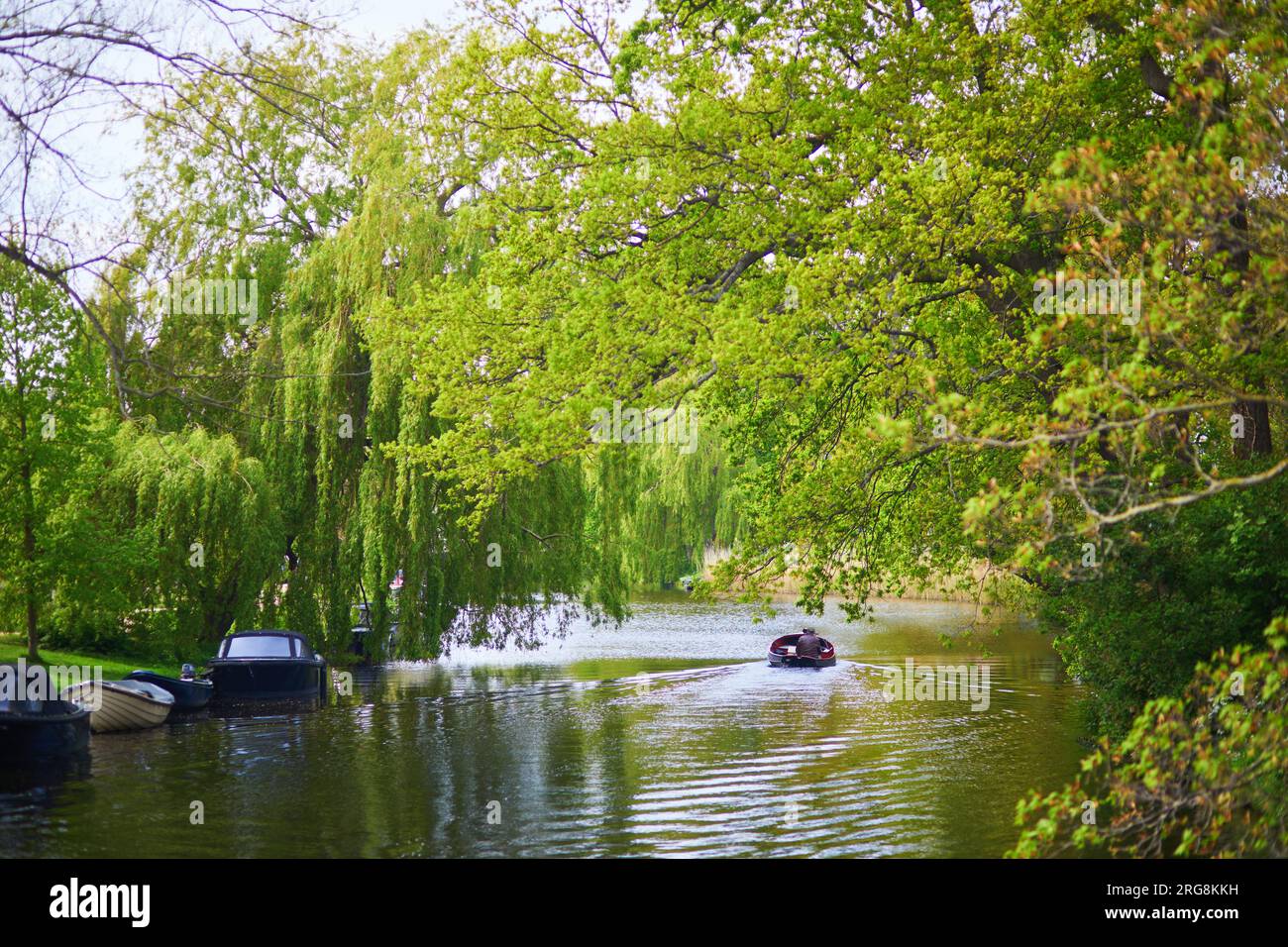 Vista panoramica della splendida città di Alkmaar con i suoi canali e parchi, i Paesi Bassi Foto Stock