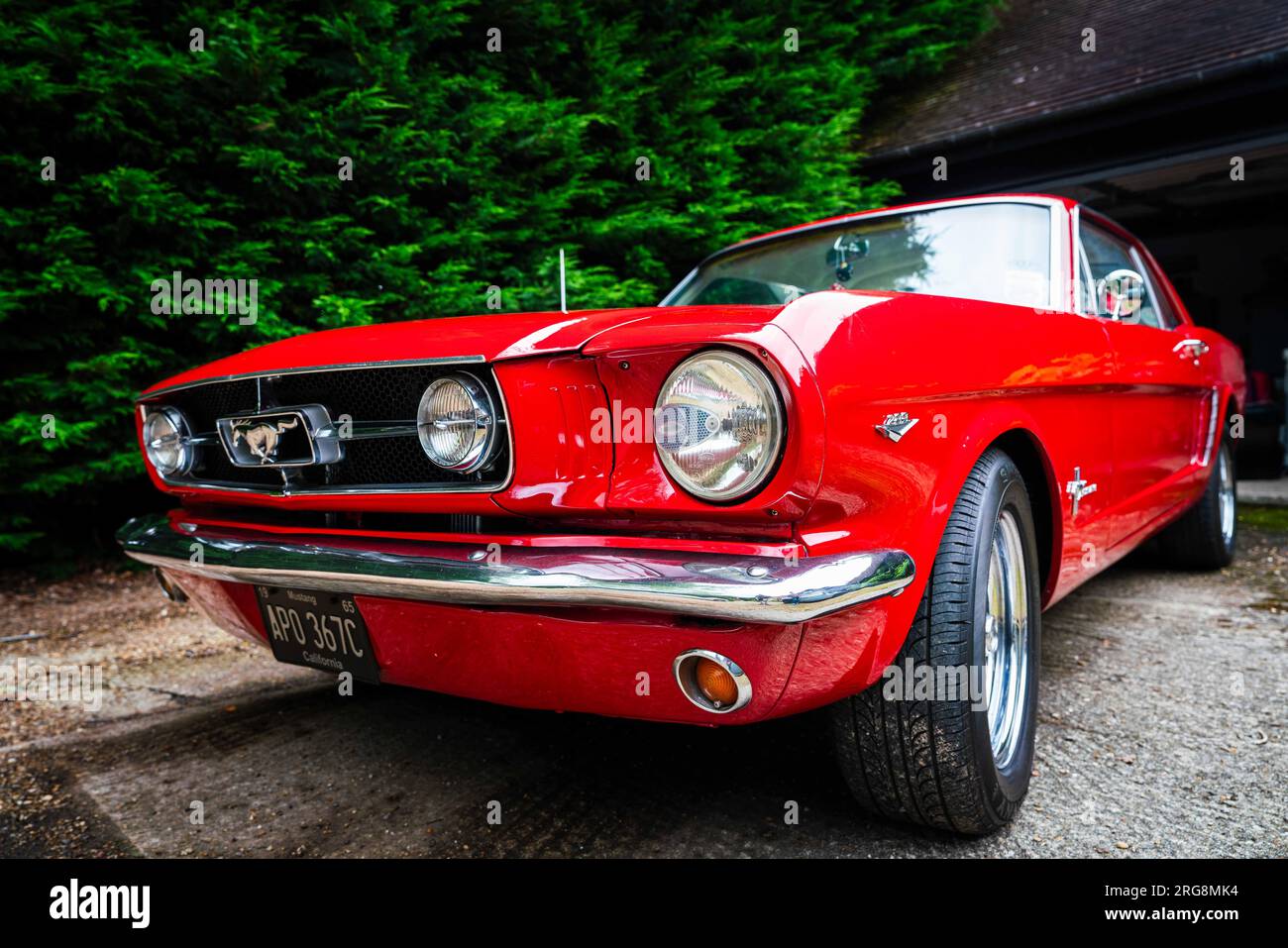 Ford Mustang Coup 1965 a Poppy Red. Foto Stock