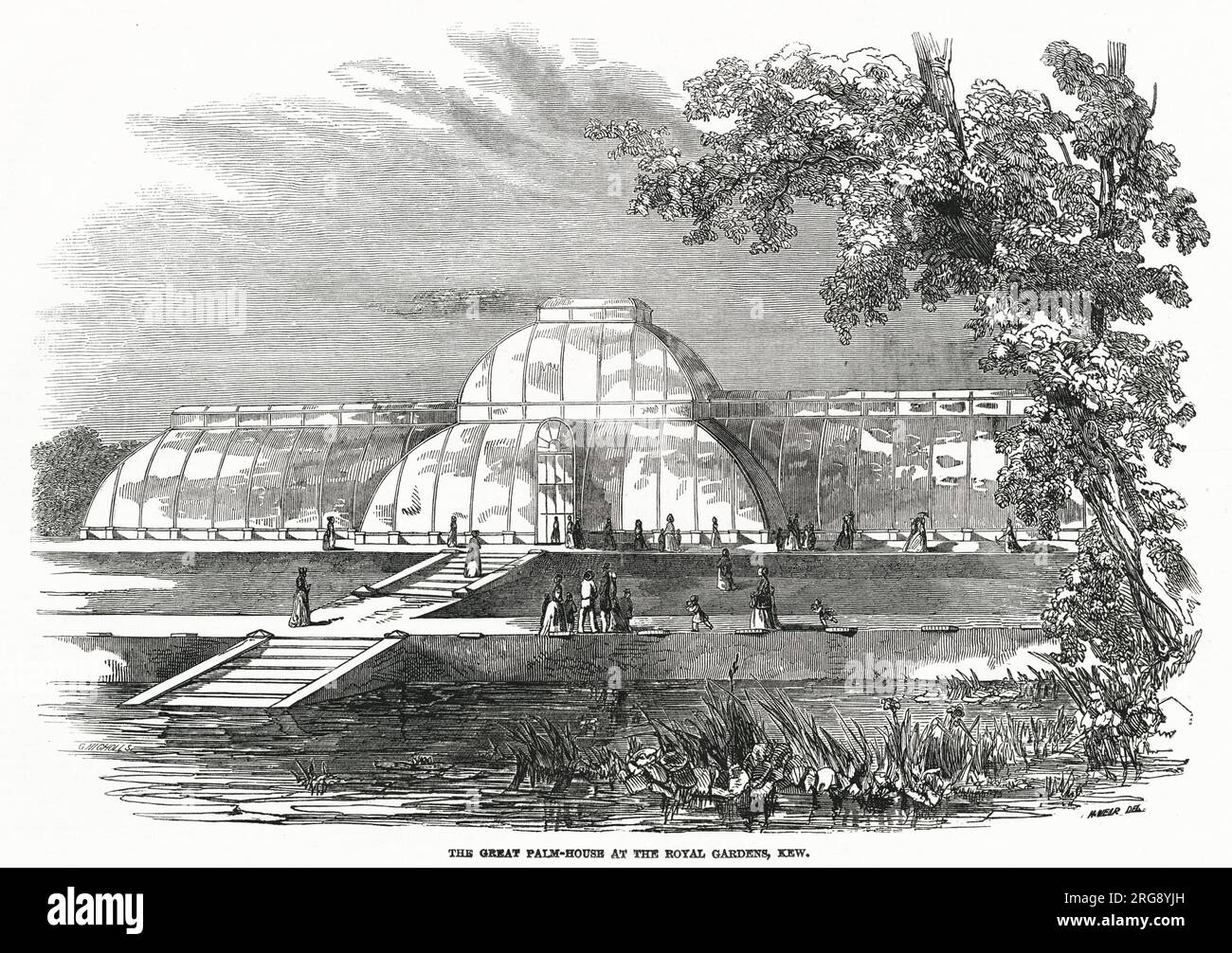 Esterno della Great Palm-House presso i Royal Gardens. Foto Stock