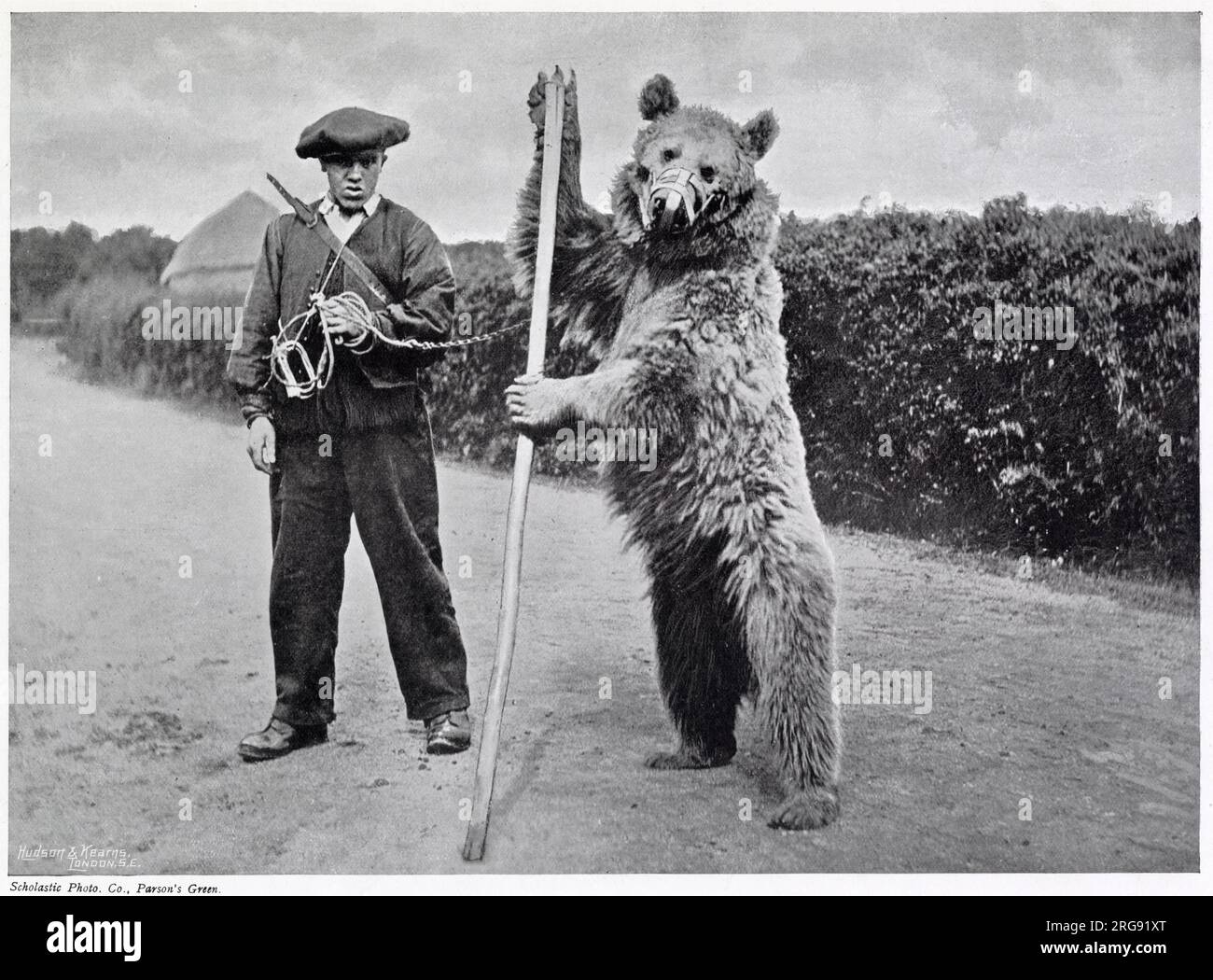 I giovani orsi selvatici furono catturati sia dai francesi sul versante francese delle montagne che dagli spagnoli, per fare trucchi per l'intrattenimento. Fotografia che mostra un alpinista con il cappuccio rosso con un orso che esegue le sue prestazioni con un piccolo bugle e ceppi di cui l'orso deve ballare e anche spallare il suo bastone come una pistola. Foto Stock