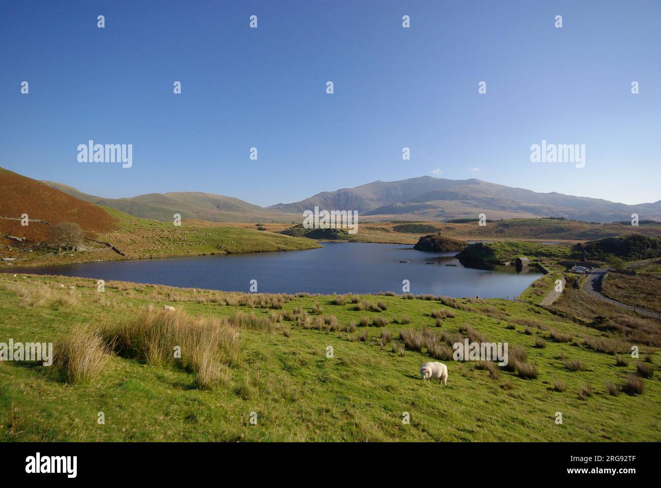 Vista di Llyn y Dywarchen (serbatoio) vicino a Rhyd-DDU nel Gwynedd, Galles del Nord, con vista verso Snowdon da ovest. Foto Stock