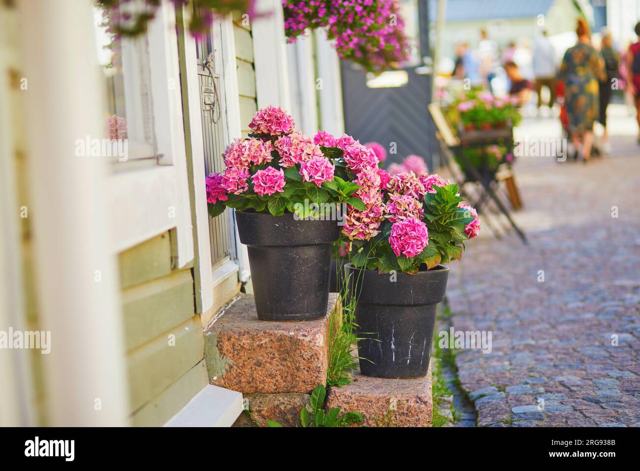 Hortensias rosa su portico in pietra del caffè all'aperto nella città finlandese di Porvoo Foto Stock