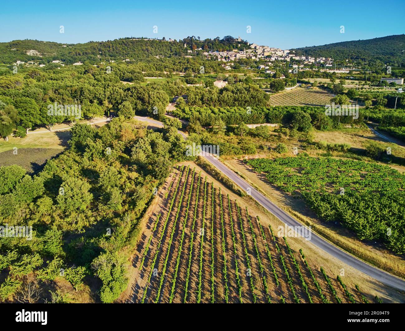 Paesaggio mediterraneo panoramico aereo con cipressi, ulivi e vigneti in Provenza, nel sud della Francia Foto Stock