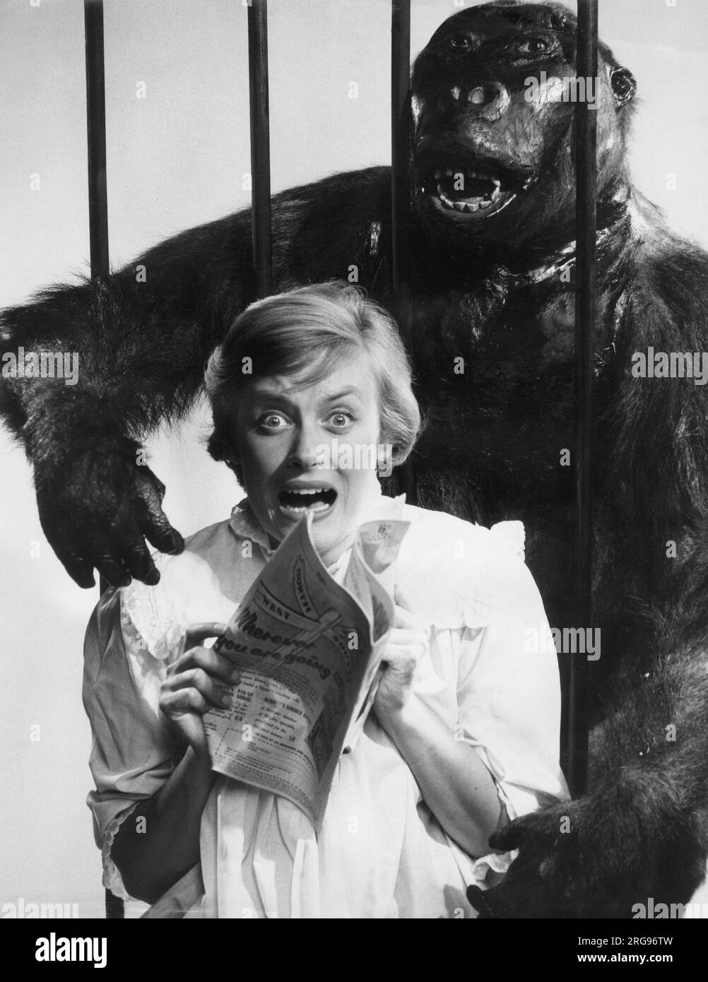 Modello femminile con rivista è terrorizzato da un gorilla che le raggiunge attraverso le barre della sua gabbia. Foto Stock