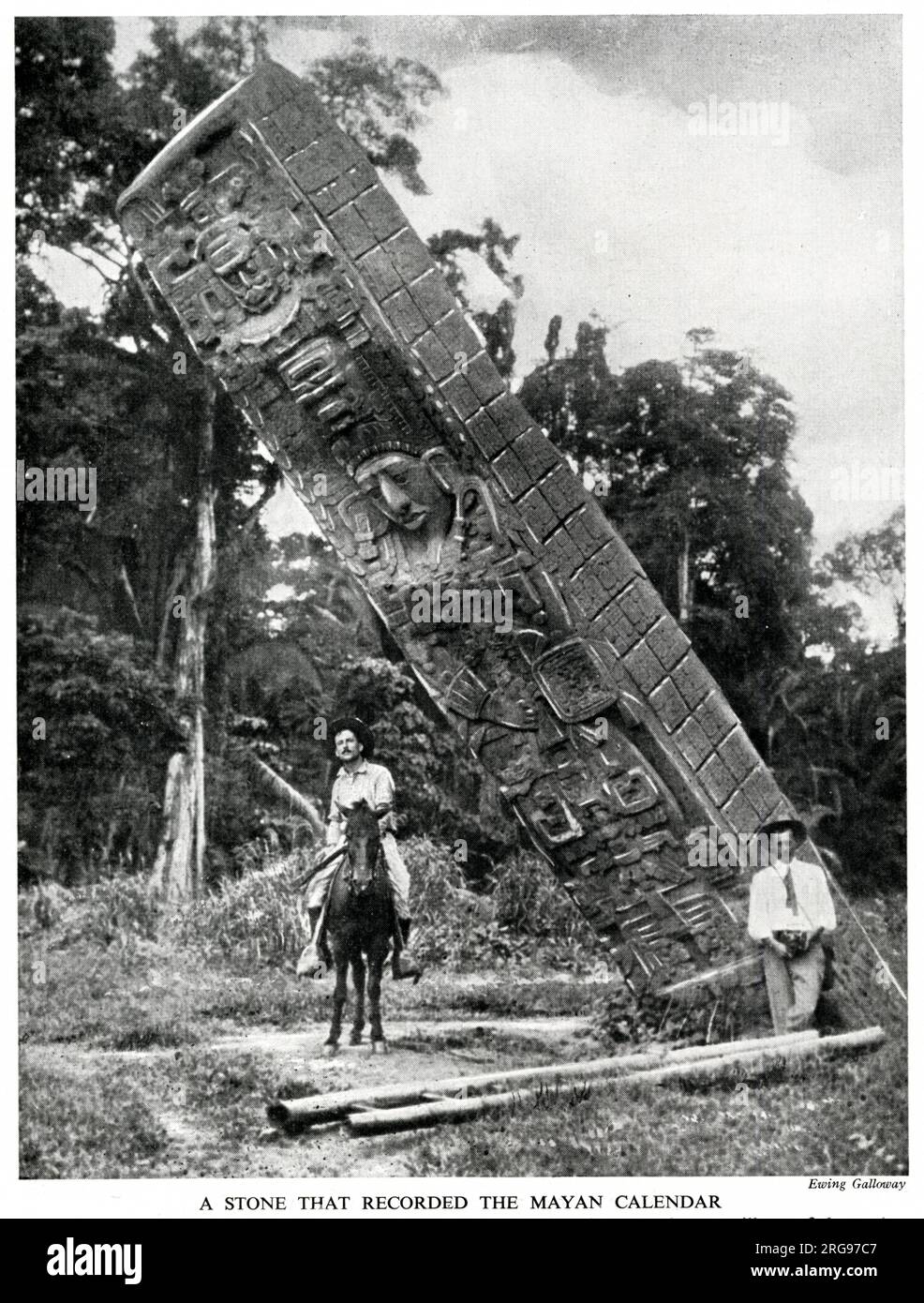 Colonna di pietra scolpita o stele (nota come Stela e) che registrava il Calendario Maya, Quirigua, Izabal, Guatemala (Mesoamerica). Furono eretti per celebrare il passaggio di un katun (circa 20 anni). I geroglifici hanno permesso agli archeologi di stabilire le date principali della storia maya. Foto Stock