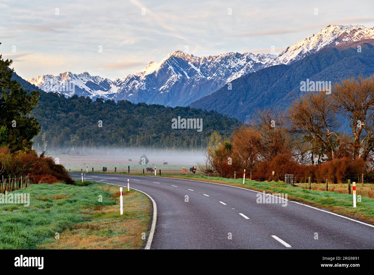 Nuova Zelanda. La campagna percorrendo l'autostrada statale 6 all'alba. West Coast. South Island Foto Stock