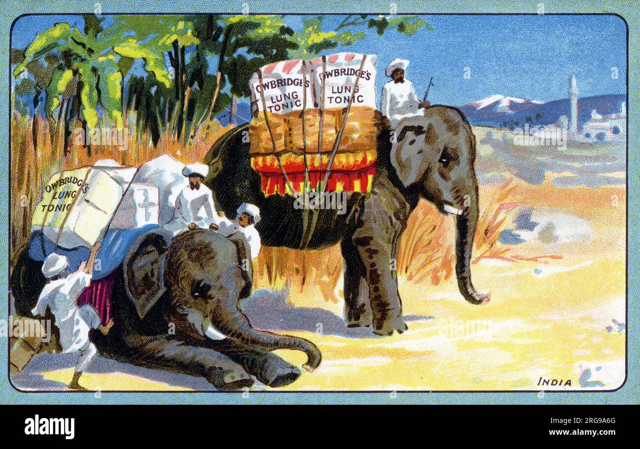 Cartolina pubblicitaria per il Lung Tonic di Owbridge ('A Royal cure for coughs and Colds') che mostra casi di medicina magica trasportata da due elefanti in India. Foto Stock