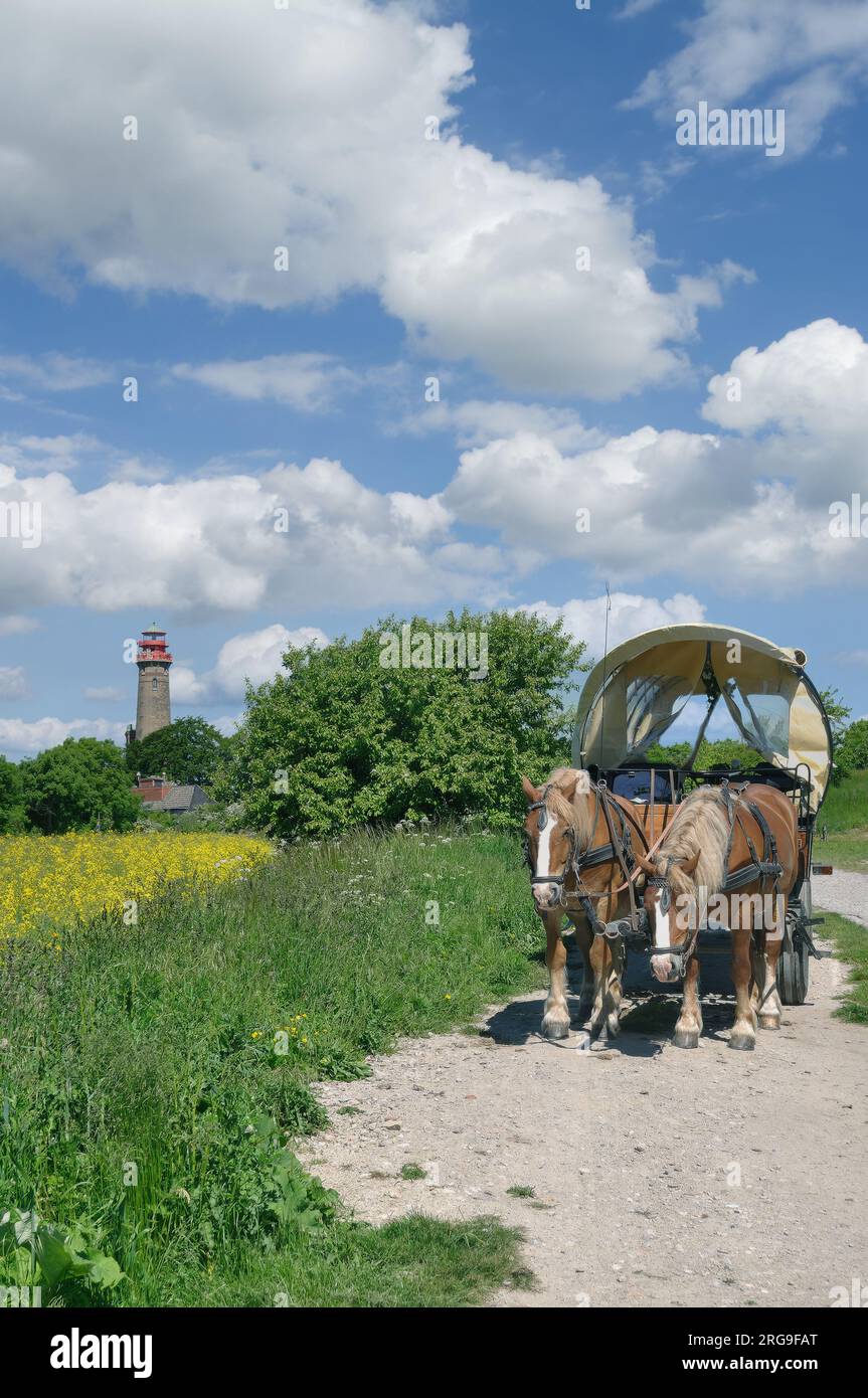 Carrozza a cavallo a Kap Arkona su Ruegen, Mar baltico, Meclemburgo-Pomerania, Germania Foto Stock