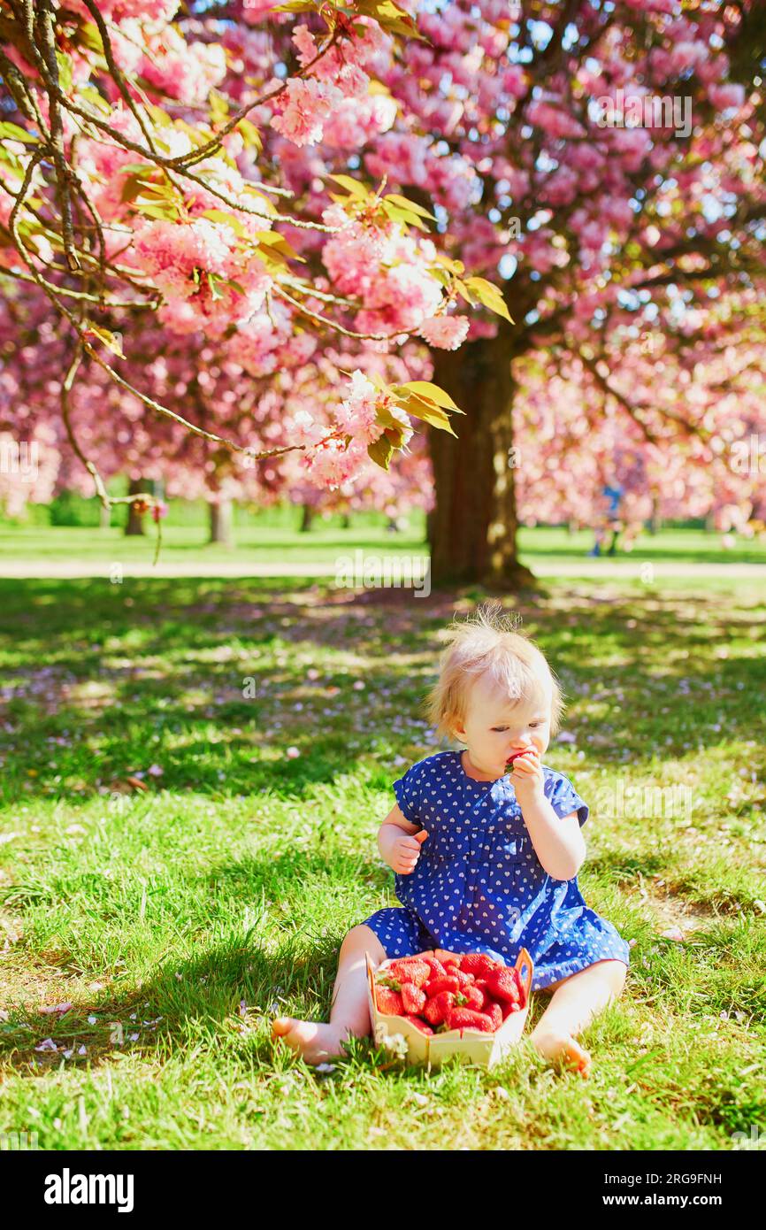 Carina bambina di un anno seduta sull'erba a mangiare fragole. Bambini nel parco con il tempo soleggiato e la stagione dei ciliegi in fiore. Foto Stock