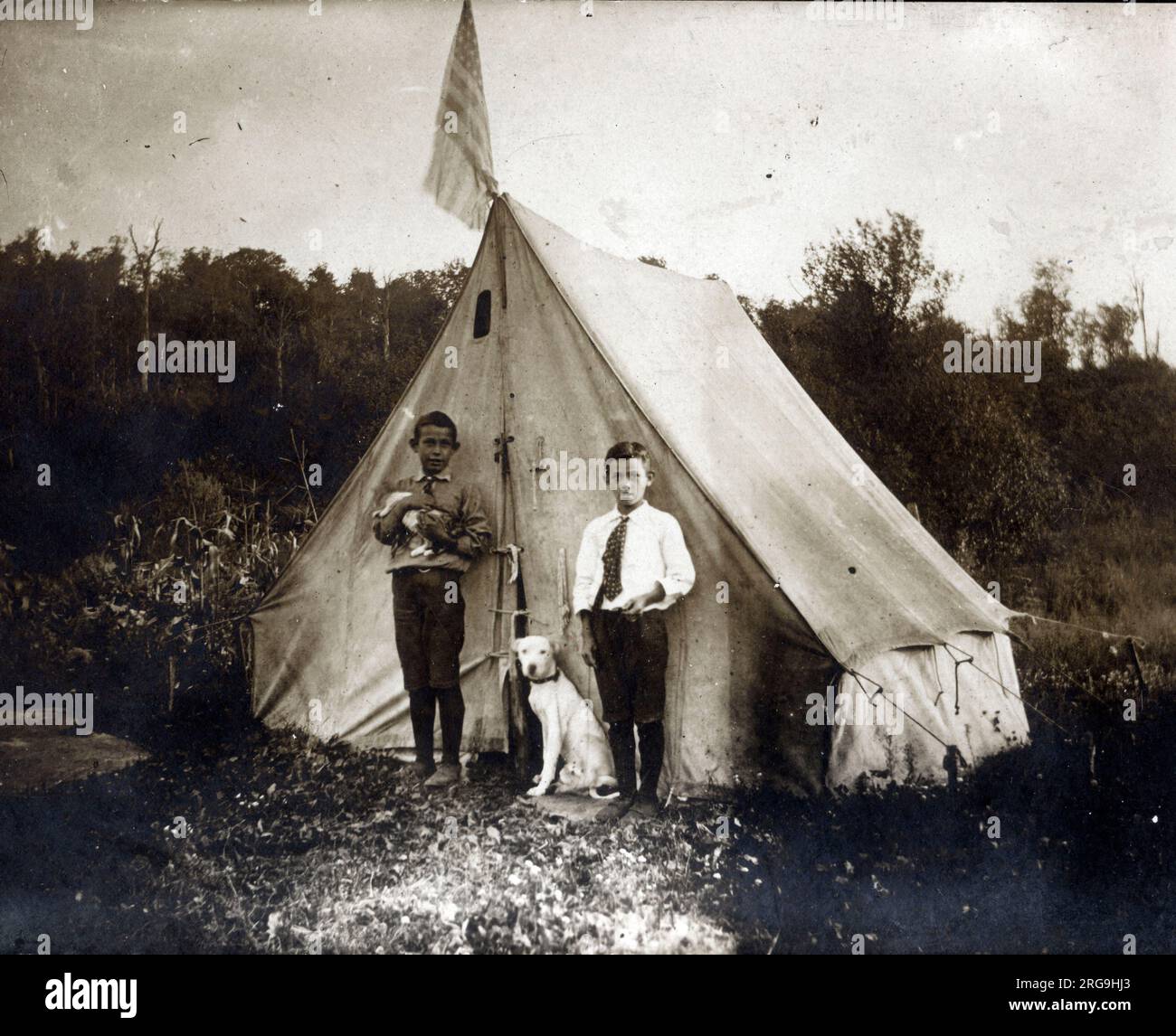 Newton Falls, NY, USA - due ragazzi che si accampano in una bella tenda di tela (completa di bandiera e i loro cani da compagnia). Foto Stock