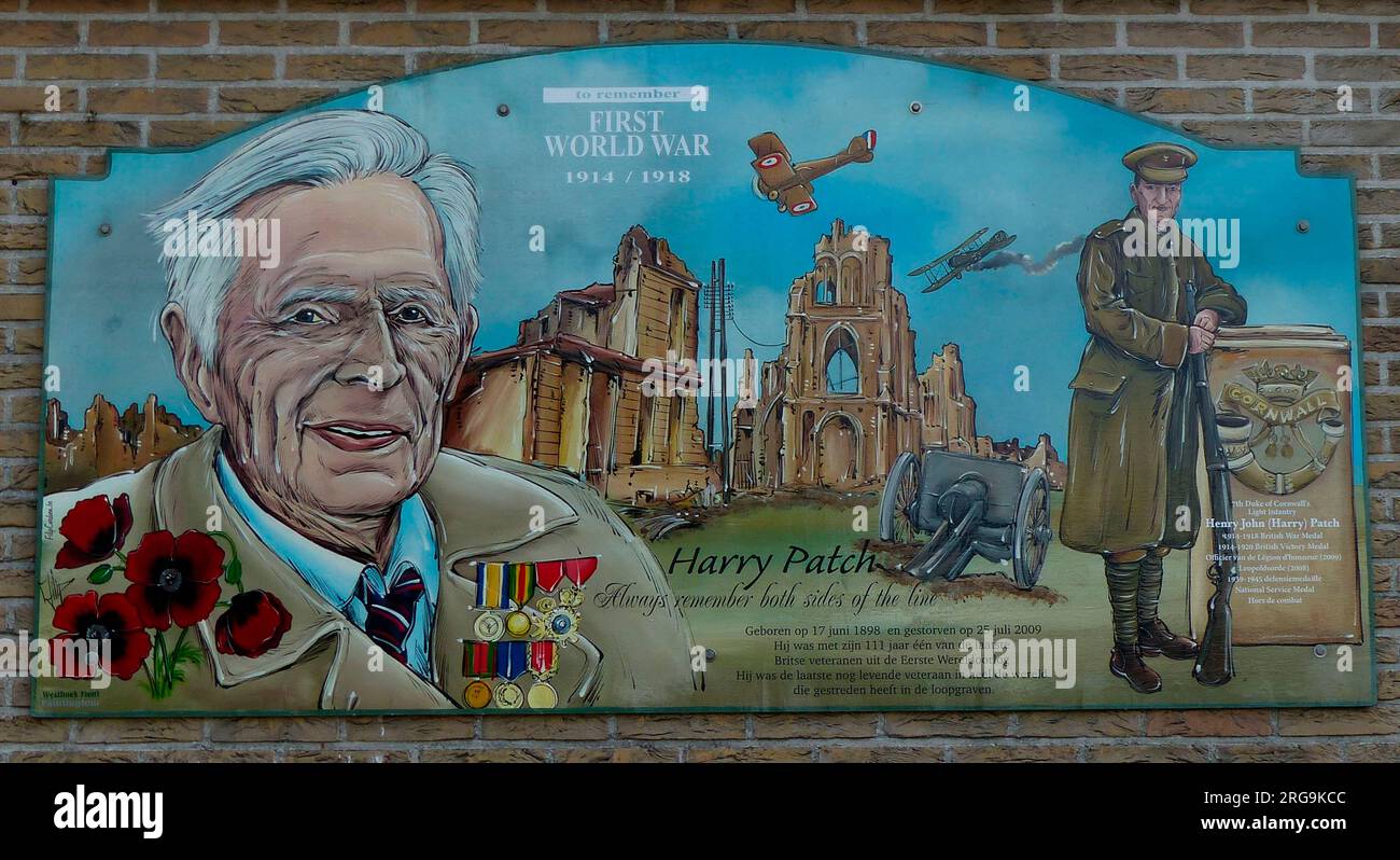 Questo è stato fatto dall'artista Moorslede Philip Cardoen ed è parte di una serie di 60 immagini previste per formare il Western Front Painting Tour. Foto Stock