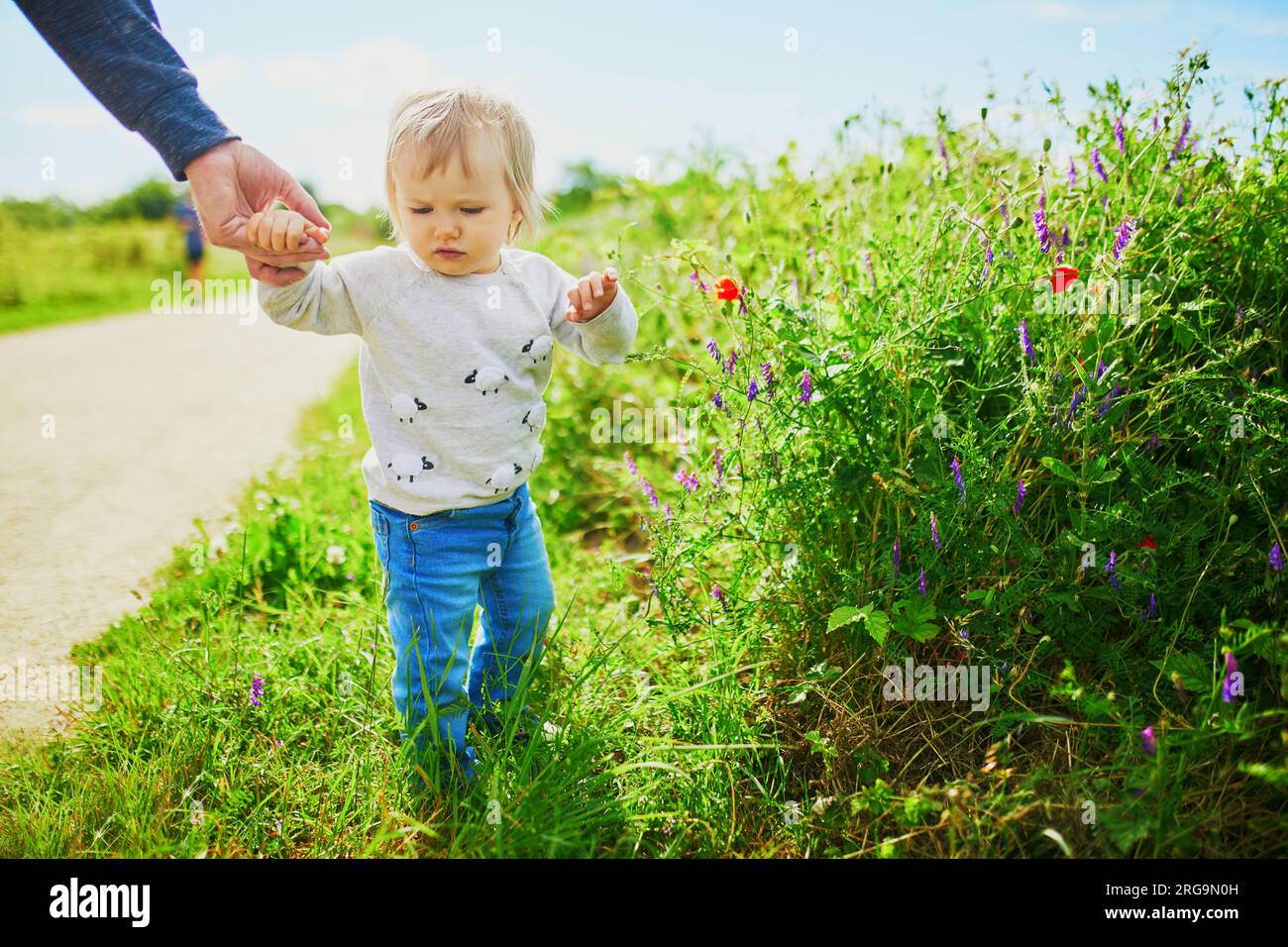 Adorabile bambina che cammina su un campo verde con suo padre. Bambini piccoli che si divertono all'aperto. Ragazzo che esplora la natura Foto Stock