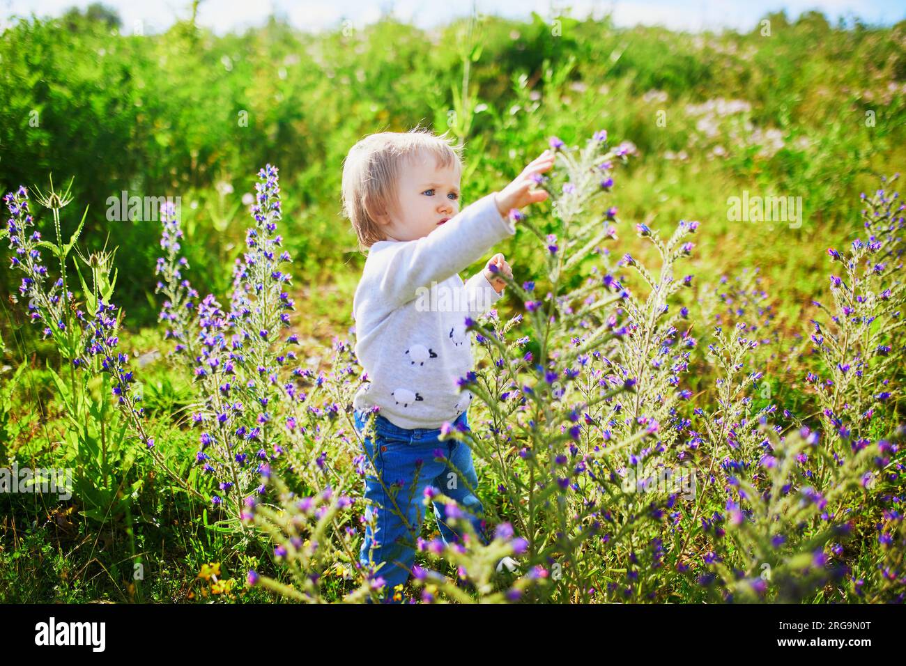 Adorabile bambina che cammina su un campo verde con fiori. Bambini piccoli che si divertono all'aperto. Ragazzo che esplora la natura Foto Stock