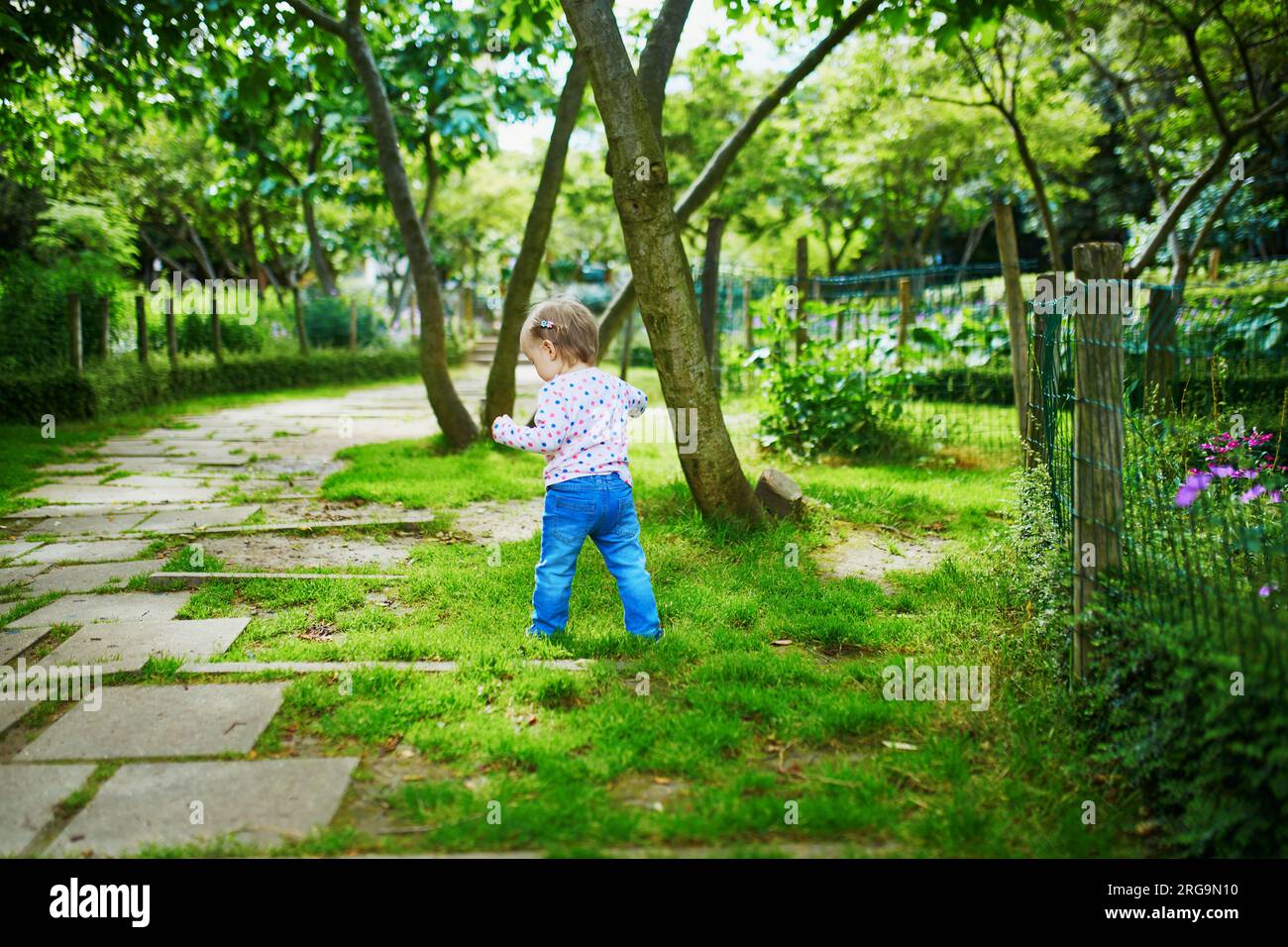 Adorabile bimba che cammina nel parco verde in un giorno d'estate. Bambini piccoli che si divertono all'aperto. Ragazzo che esplora la natura Foto Stock