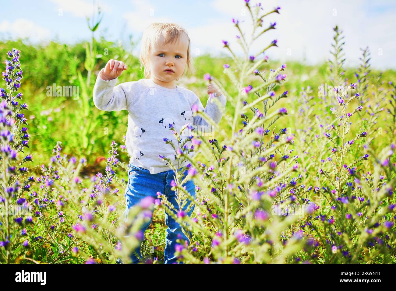 Adorabile bambina che cammina su un campo verde con fiori. Bambini piccoli che si divertono all'aperto. Ragazzo che esplora la natura Foto Stock