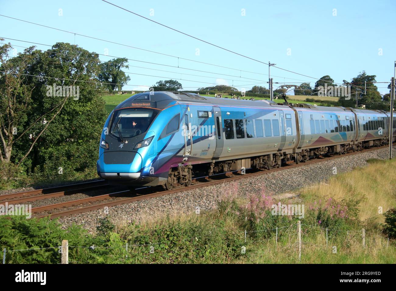TransPennineExpress ha liveriato il treno elettrico passeggeri classe 397 civity emu espresso sulla West Coast Main line a Bay Horse nel Lancashire 8 agosto 2023. Foto Stock