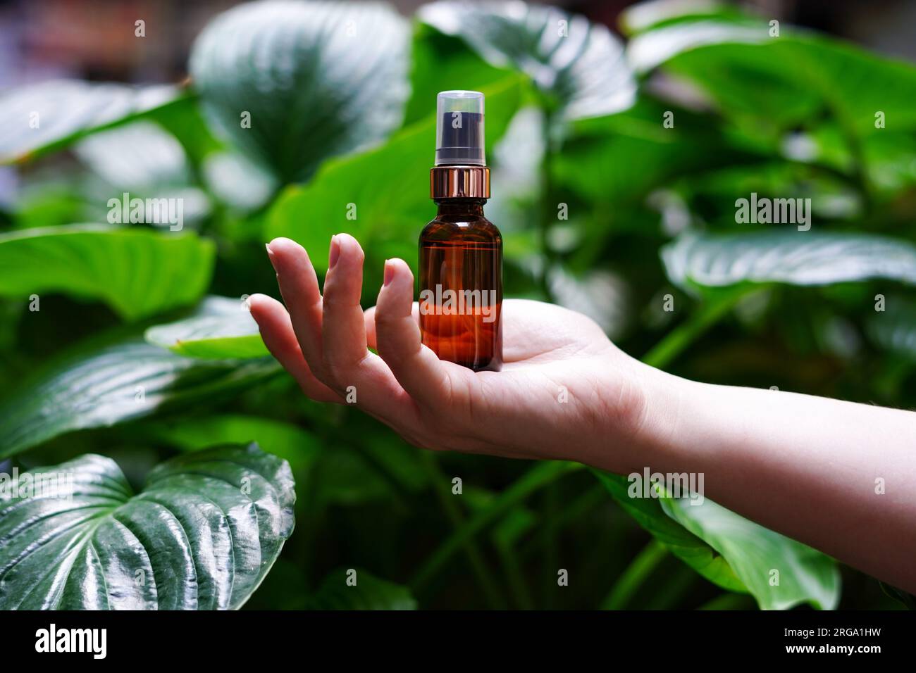 Bottiglia di vetro con olio essenziale cosmetico a mano femminile. foglie verdi sfondo naturale, cura della pelle Foto Stock