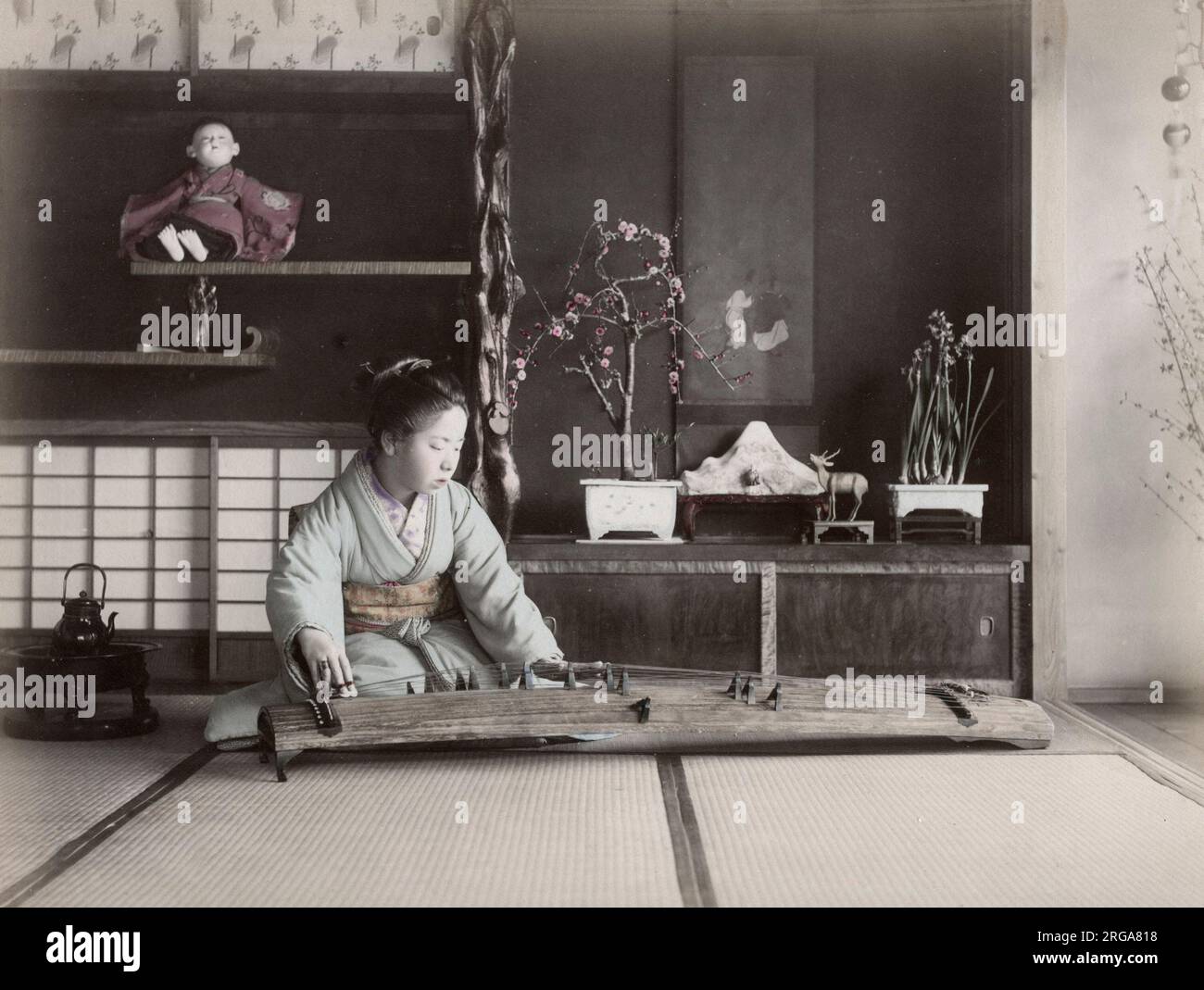Giovane donna che suona uno strumento musicale a corde koto, Giappone. Vintage 19th ° secolo fotografia. Foto Stock