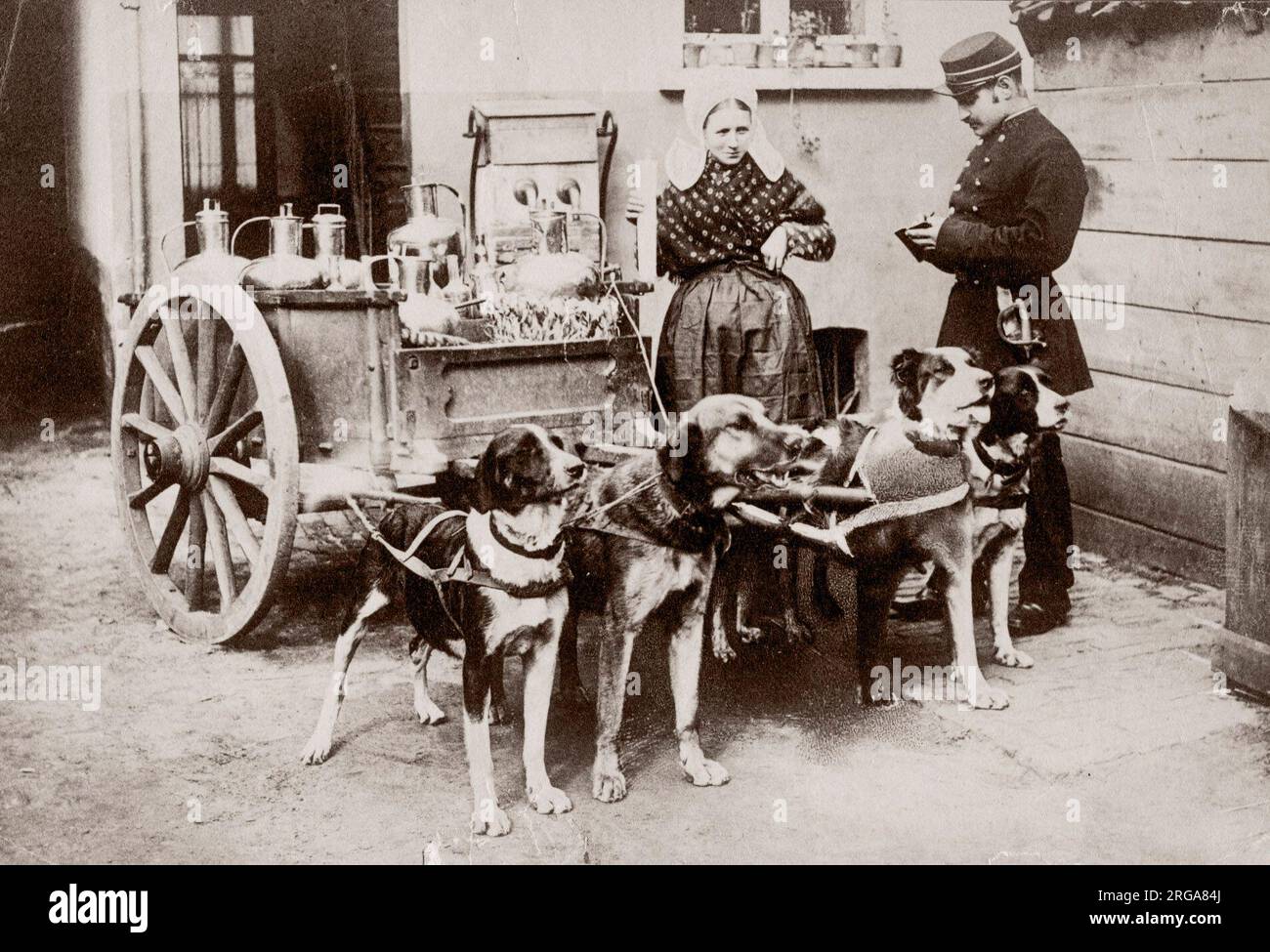 C.1890 Belgio - latte cameriera con carrello di cane poliziotto e Foto Stock