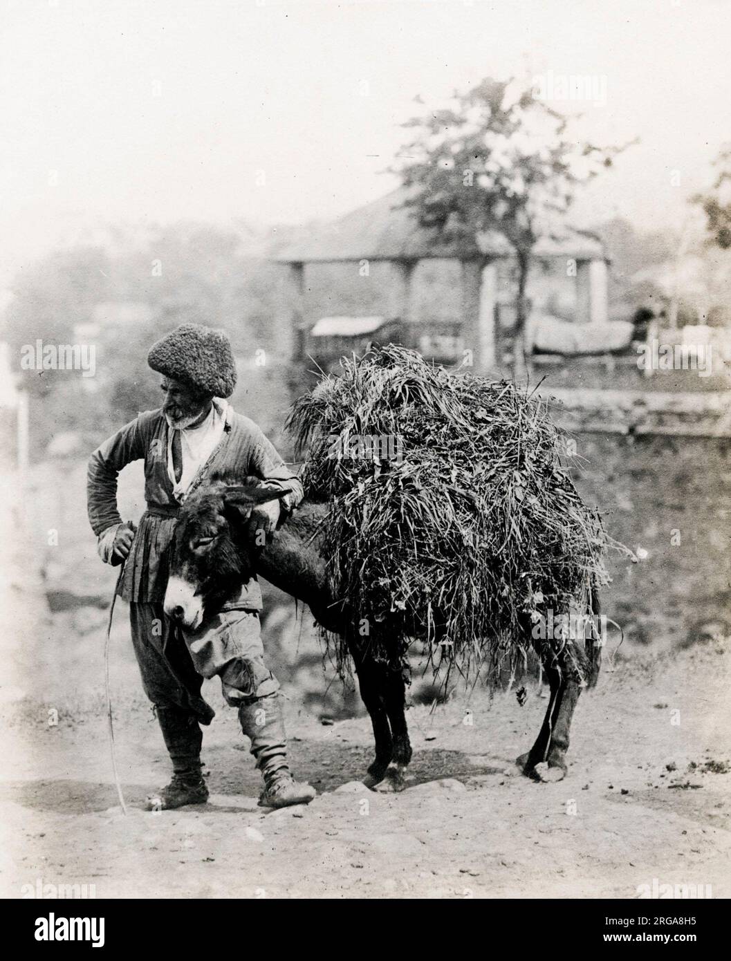 Caucaso Georgia Tiflis Tblisi - un asino con il suo carico e il suo driver armeno. Vintage 19th ° secolo fotografia. Foto Stock