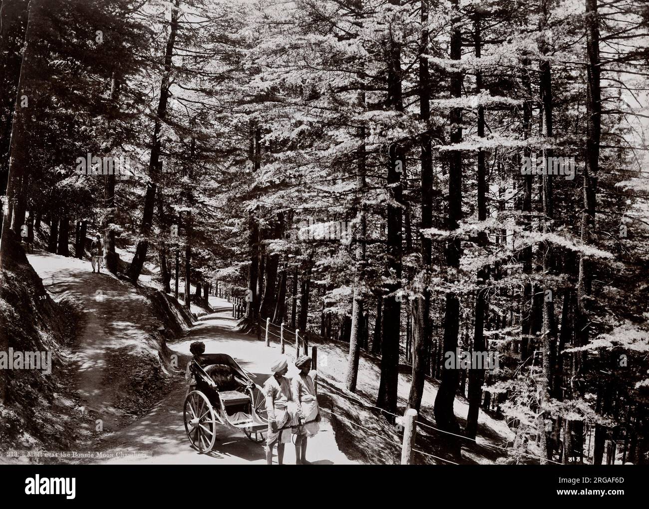 Fotografia d'annata del 19° secolo: Vista della collina, risciò, Simla, Shimla, India. Foto Stock