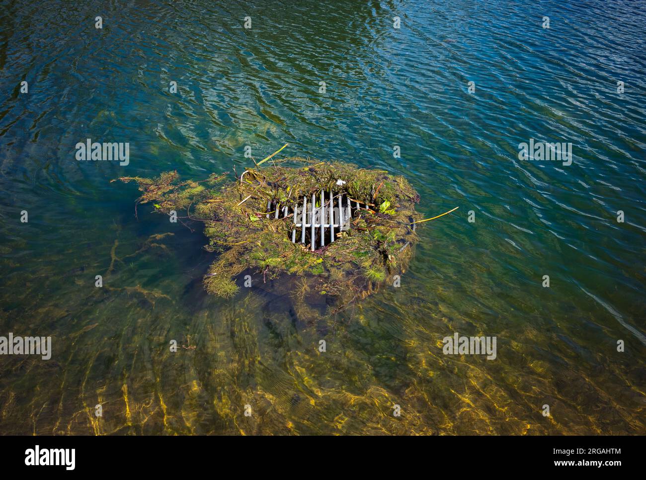 Foro di drenaggio coperto di muschio Foto Stock