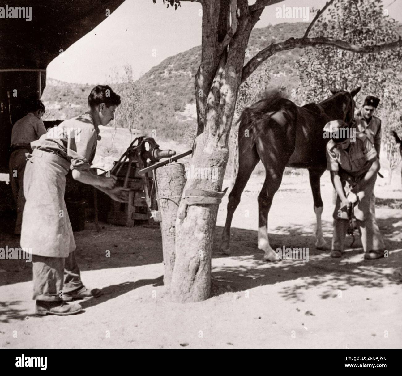 1943 Siria - reggimento dell'esercito TJFF della Trans-Jordan o della Trans-Jordanian Frontier Force Fotografia di un ufficiale di reclutamento dell'esercito britannico di stanza in Africa orientale e in Medio Oriente durante la seconda guerra mondiale Foto Stock