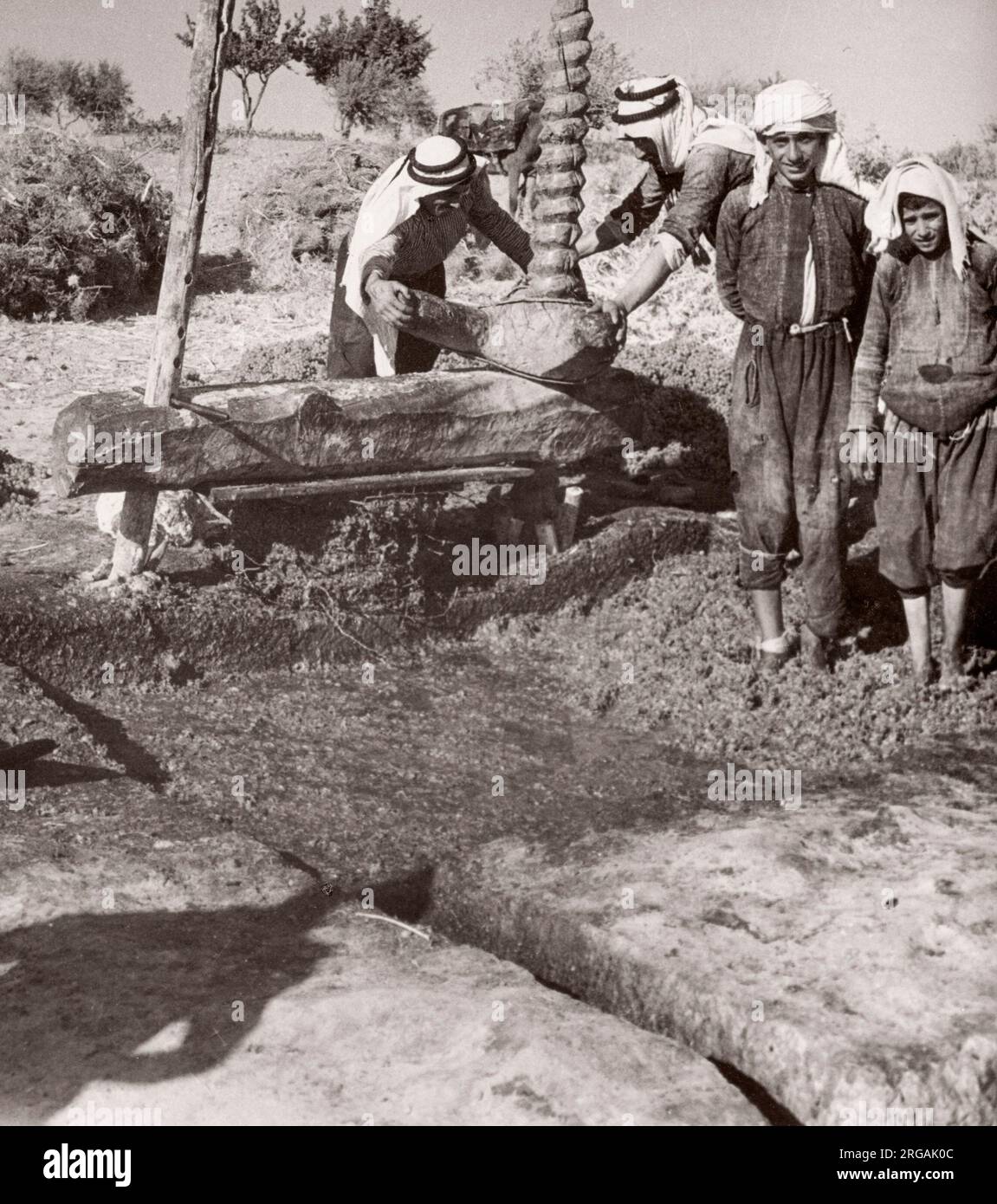 1943 Siria - uva bollente per fare liqour Arak fotografia da un ufficiale di reclutamento dell'esercito britannico di stanza in Africa orientale e in Medio Oriente durante la seconda guerra mondiale Foto Stock