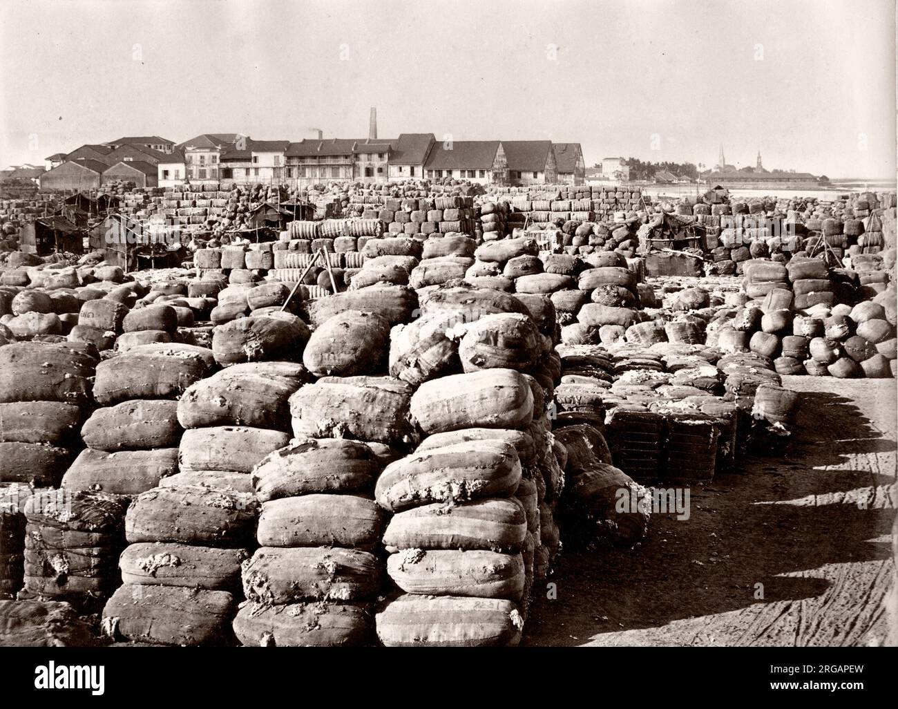 Balle di cotone in attesa di esportazione, porto, probabile India, fine del 19 ° secolo Foto Stock