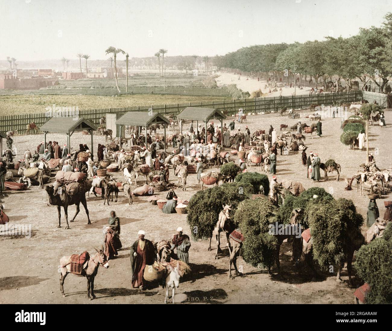 Vintage c.1900 Fotografia: Mercato ai margini della città del Cairo, cammelli e mercanti, Egitto, fotocomre c.1900. Foto Stock