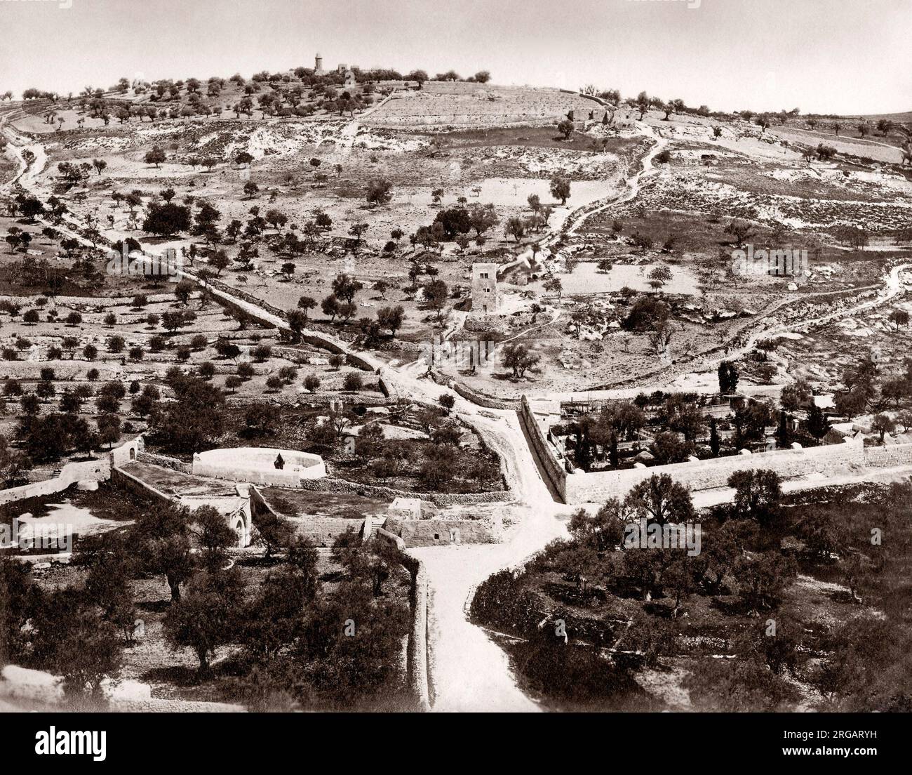 Giardino del Getsemani, Mount of Olives, Jersualem, c.1880's Foto Stock