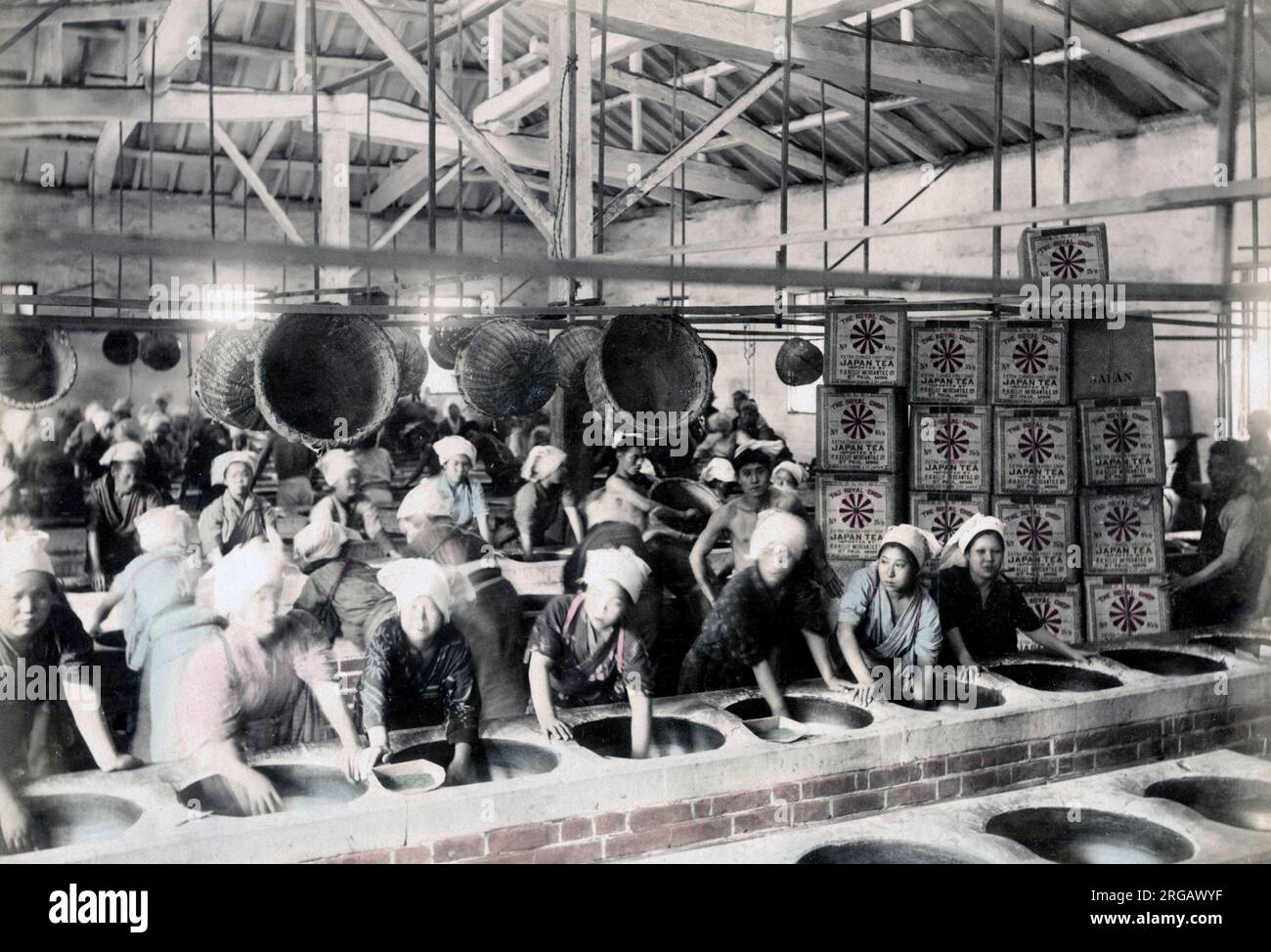 Lavorazione del tè, Giappone, circa 1880's fabbrica Vintage fine 19th ° secolo fotografia Foto Stock