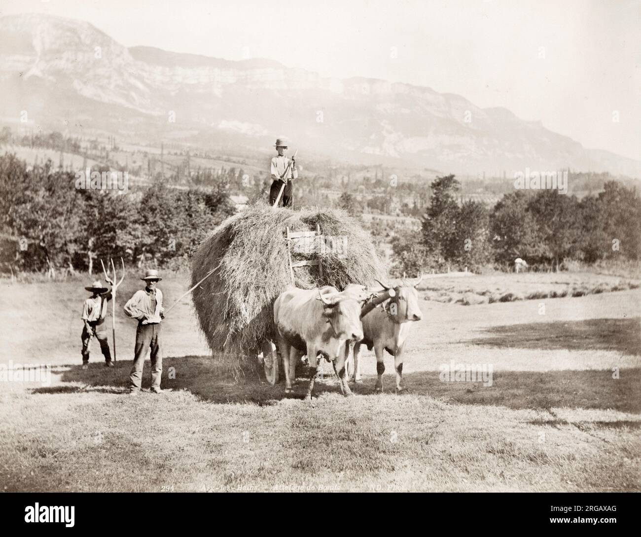 Vintage 19 ° secolo fotografia: Francia, zona di Aix-les Bains, agricoltura, agricoltori, agricoltura, portando in fieno su un carro trainato da due buoi, bestiame, giovenchi, immagine c. 1890's. Foto Stock