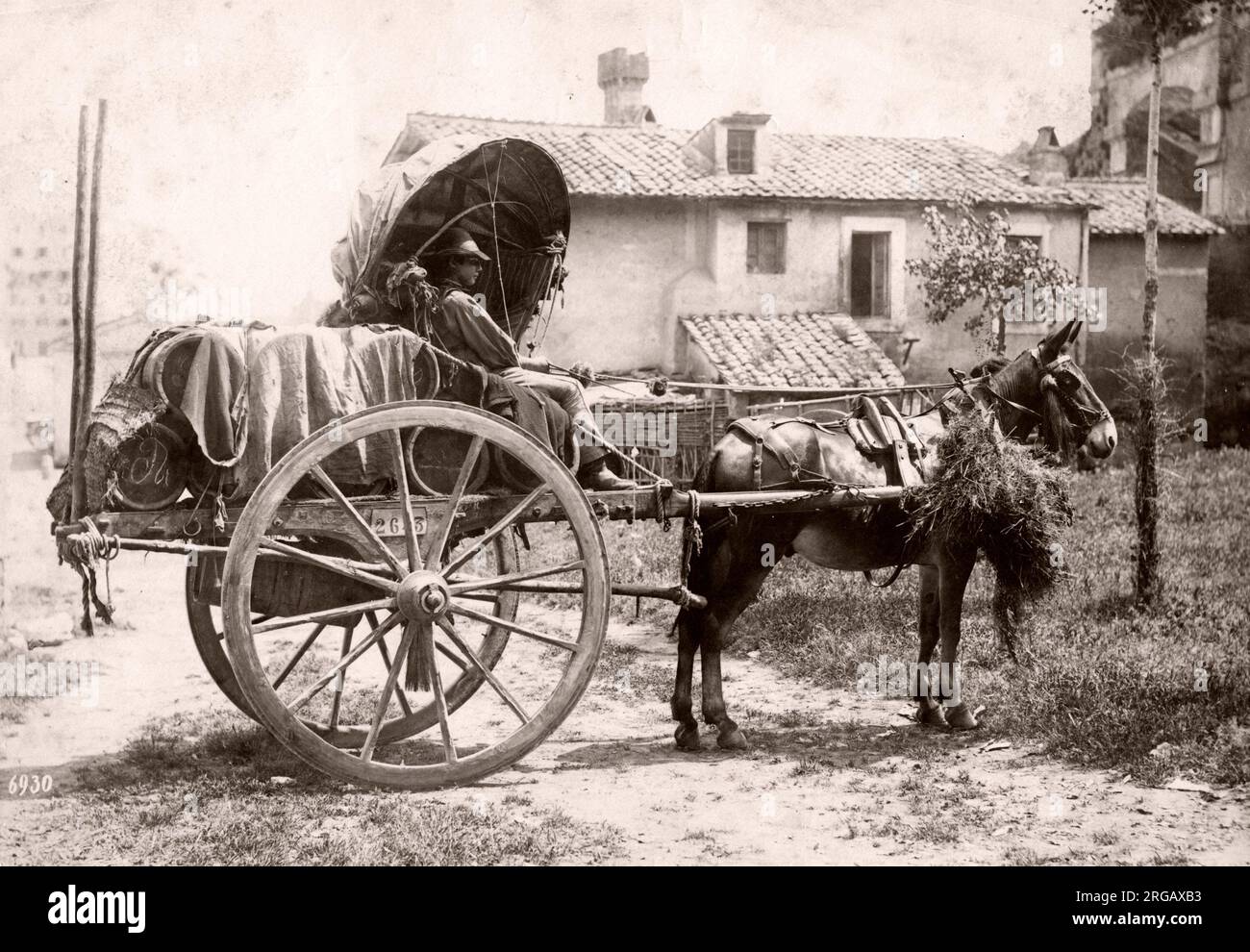 Foto d'annata alla fine del XIX secolo: Mulattiera che tira un carrello, vino, cart, Italia. Foto Stock