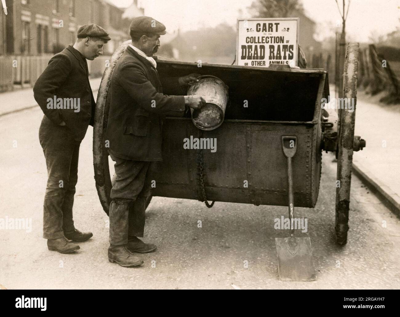 Nei primi anni del XX secolo vintage premere fotografia - catturatori di ratto a lavorare con un carrello per ratti morti. Foto Stock