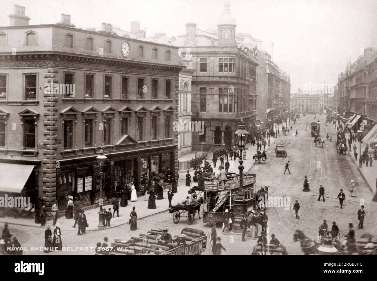 Royal Avenue Belfast, Irlanda del Nord, c.1890 Foto Stock