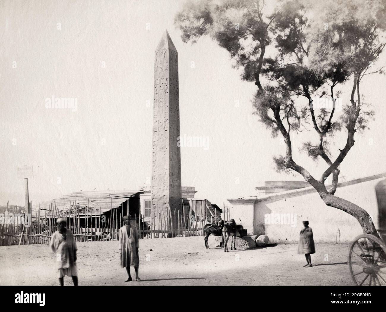 Foto tardo 19 ° secolo - Obelisco, Egitto Foto Stock