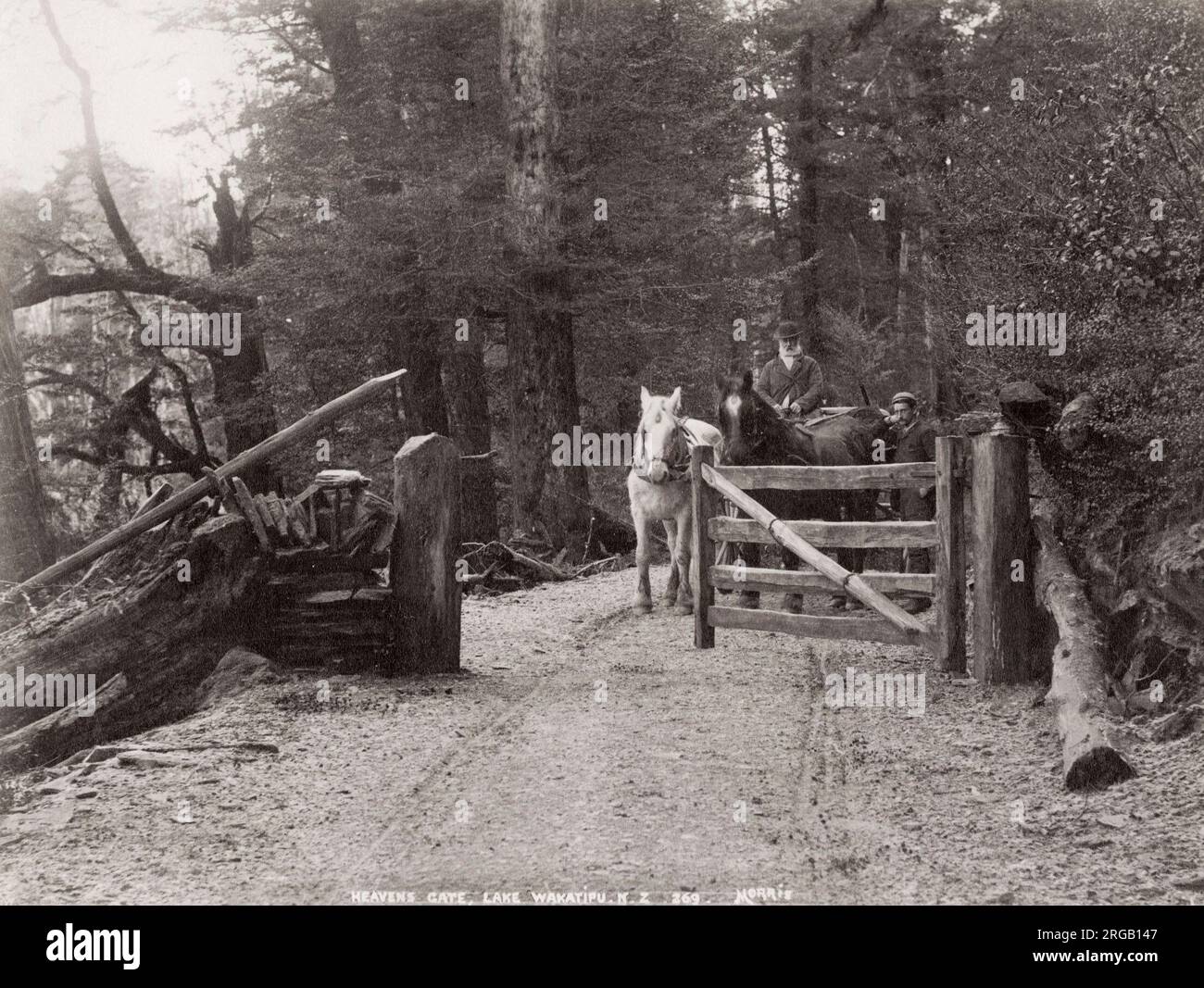 Fotografia d'epoca del XIX secolo: Nuova Zelanda - Heaven's Gate Lago Wakatipu, cavallo e cart Foto Stock