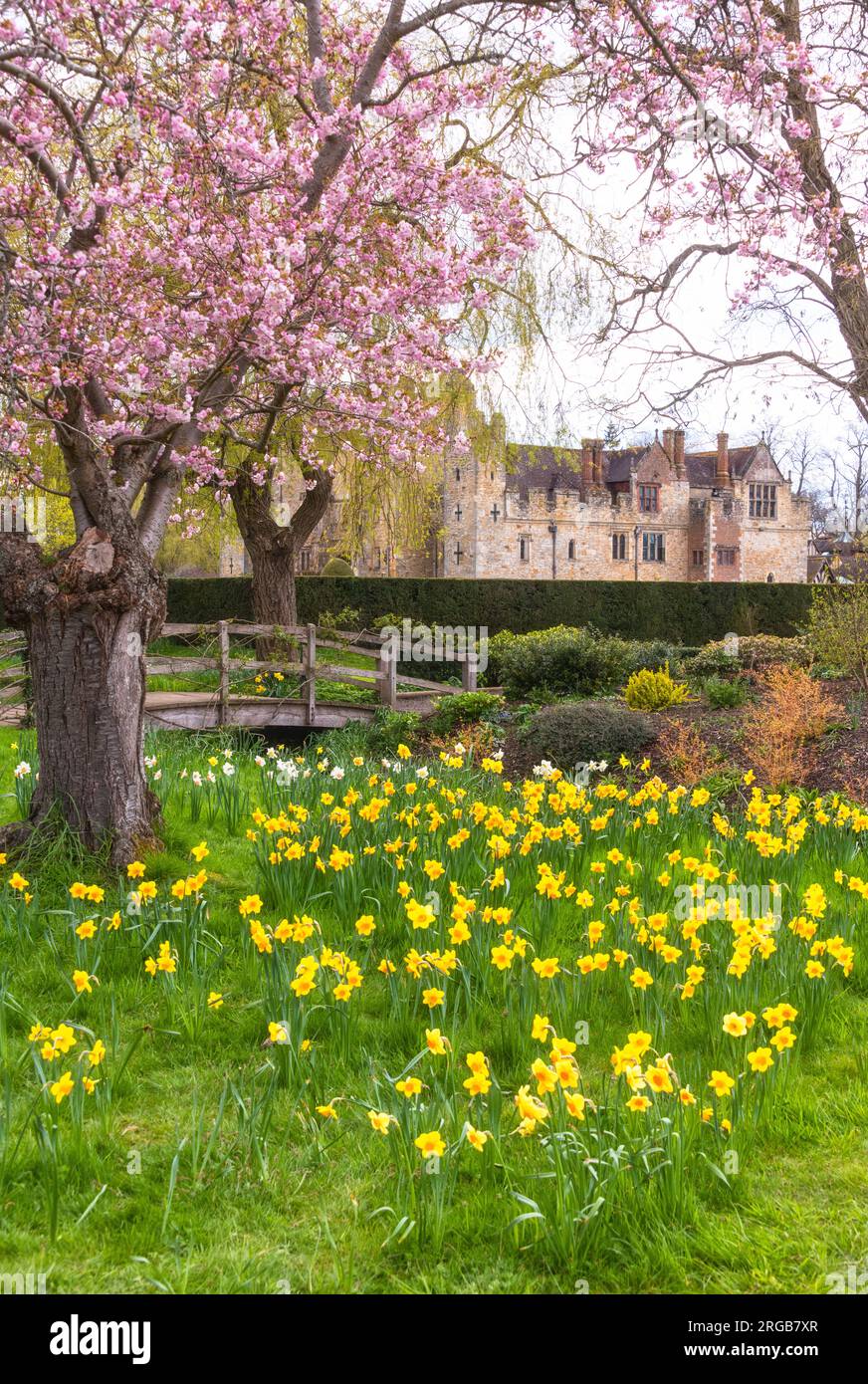 Giardini del castello di Hever in primavera, Kent, Inghilterra Foto Stock
