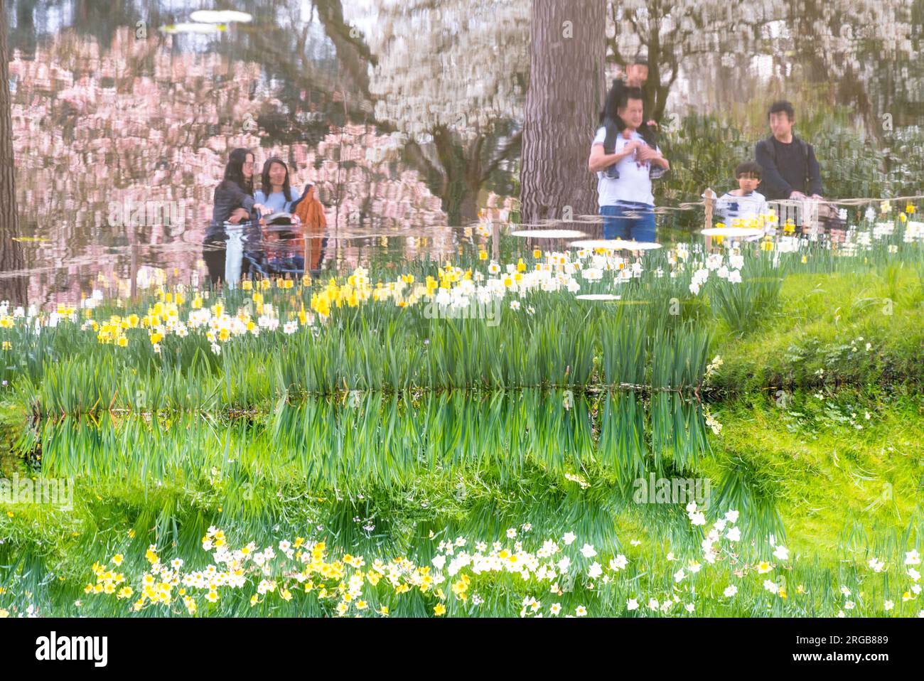 Riflessi primaverili nei giardini del castello di Hever, Kent, Inghilterra Foto Stock