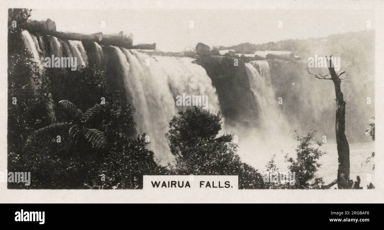 Nuova Zelanda - Cascate Wairua sul fiume Wairua nel distretto di North Auckland. I tronchi di kauri che si trovano sull'orlo dell'autunno sono stazionati fino a quando non arriva un "fresco". Foto Stock