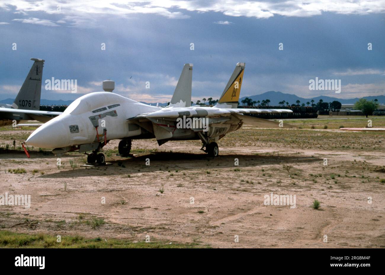 United States Navy (USN) - Grumman F-14A Tomcat, su 'Celebrity Row' presso la base aerea Davis-Monthan per lo stoccaggio e lo smaltimento. Foto Stock