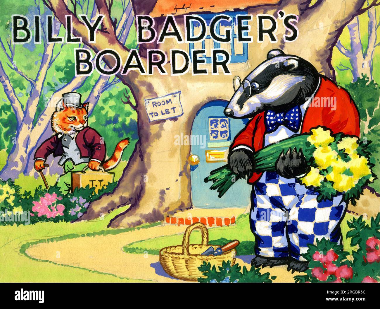 Billy Badger's Boarder - disegno originale gouache per la copertina di un libro per bambini Foto Stock