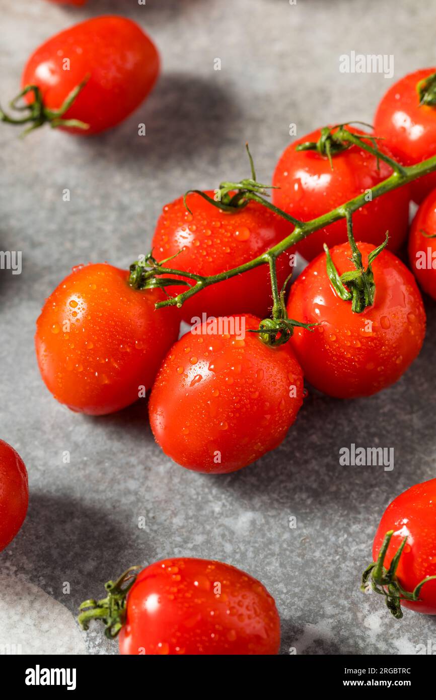 Pomodori ciliegini rossi crudi biologici pronti da mangiare Foto Stock