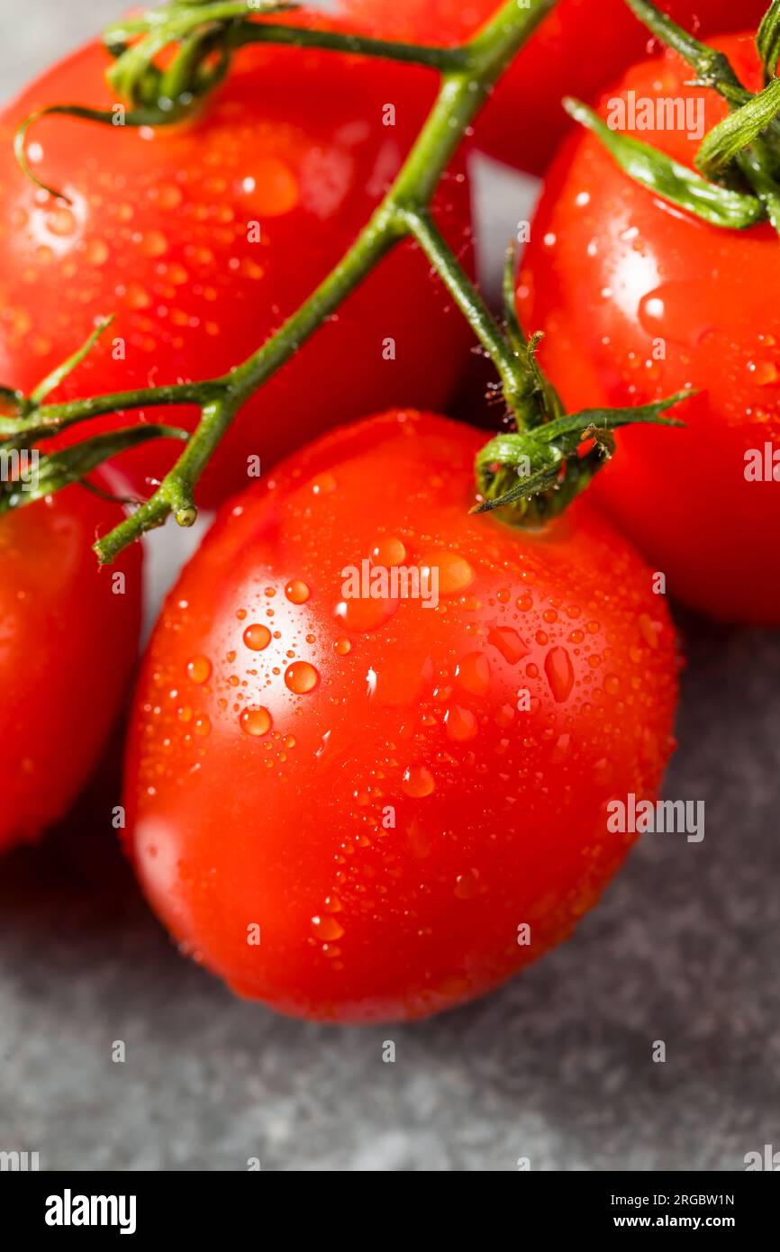 Pomodori ciliegini rossi crudi biologici pronti da mangiare Foto Stock